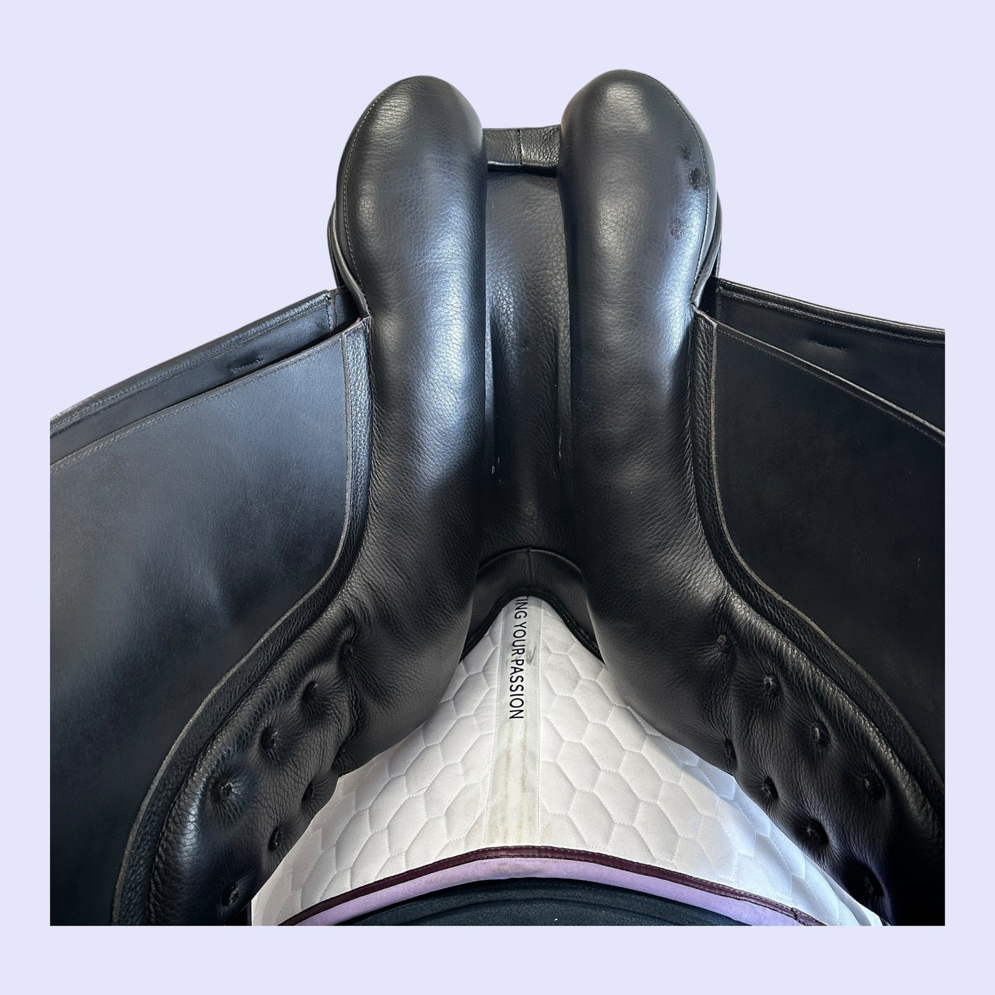Fenmore Bella Dressage 17” MW