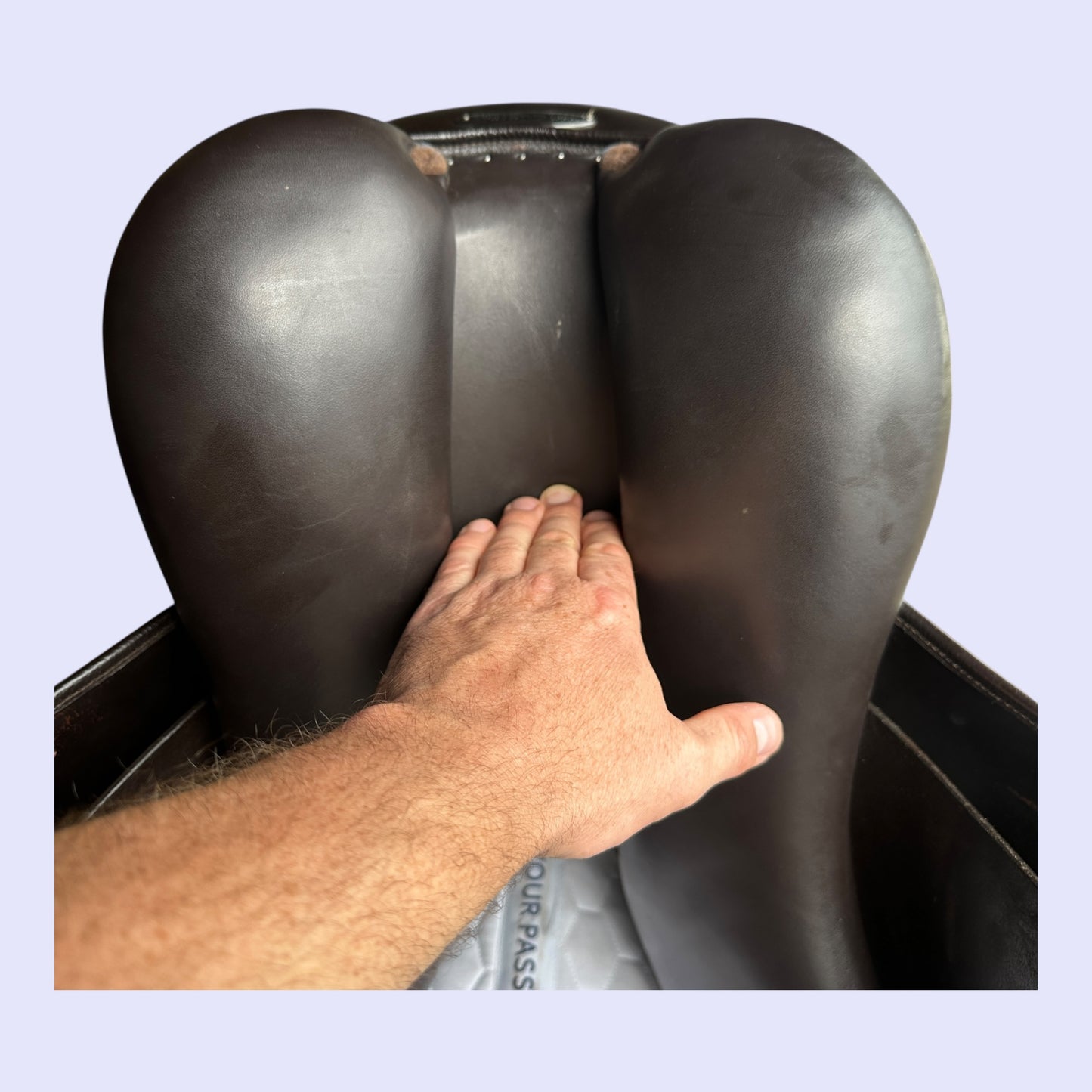 Harry Dabbs Elegant Dressage 18” MW (DJ)