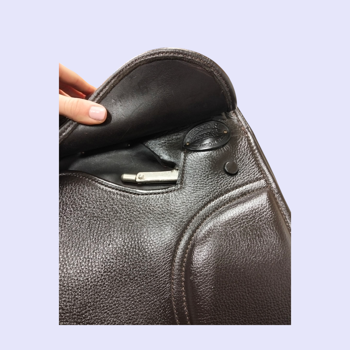 Fenmore Piaffe Dressage (show) 17" M