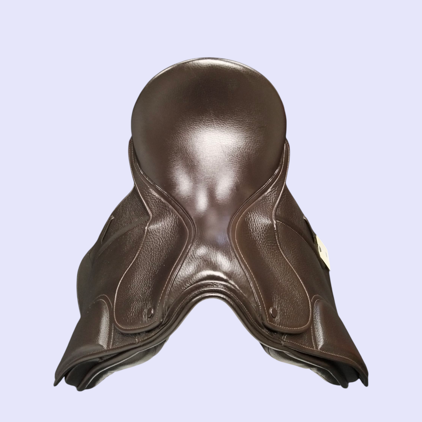Fenmore Piaffe Dressage (show) 17" M