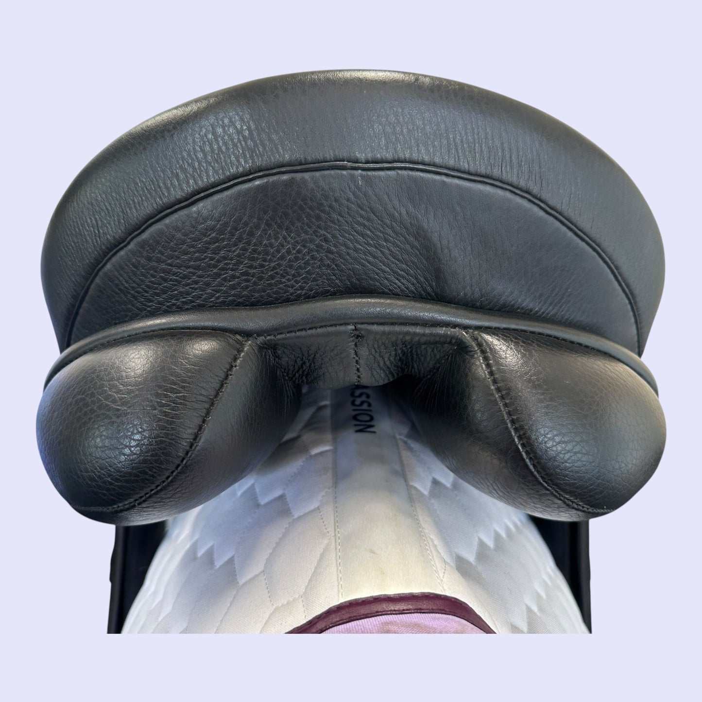 Fenmore Capriole Dressage 17" W