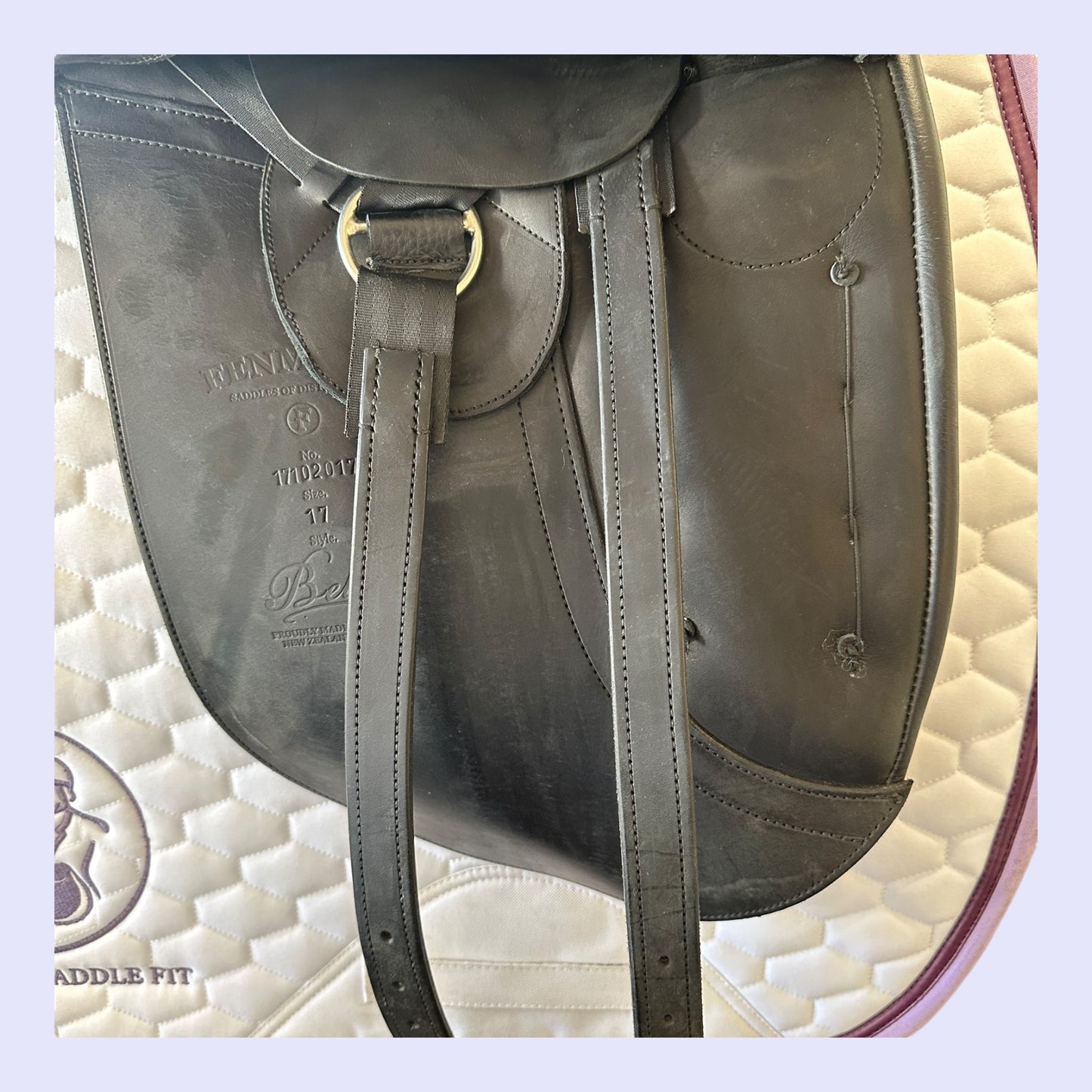 Fenmore Bella Dressage 17" W