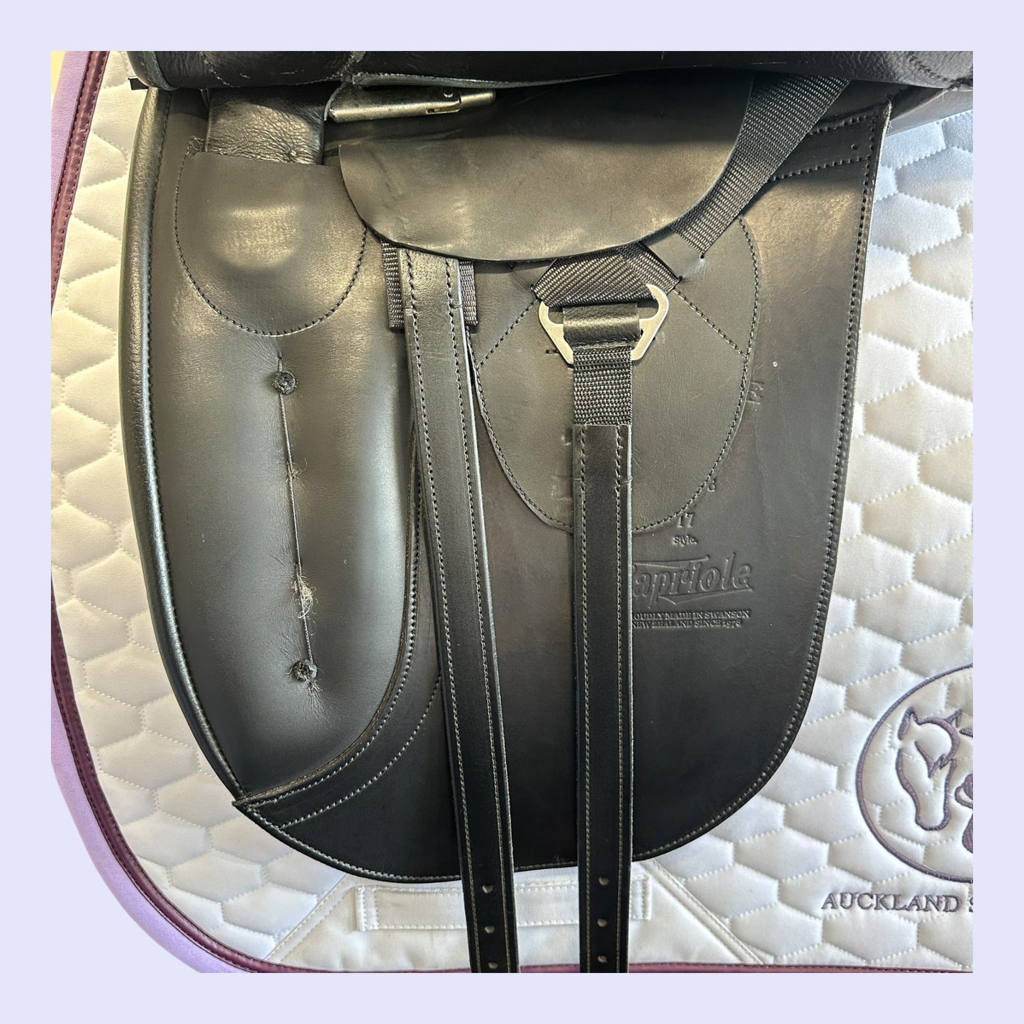 Fenmore Capriole Dressage 17" W