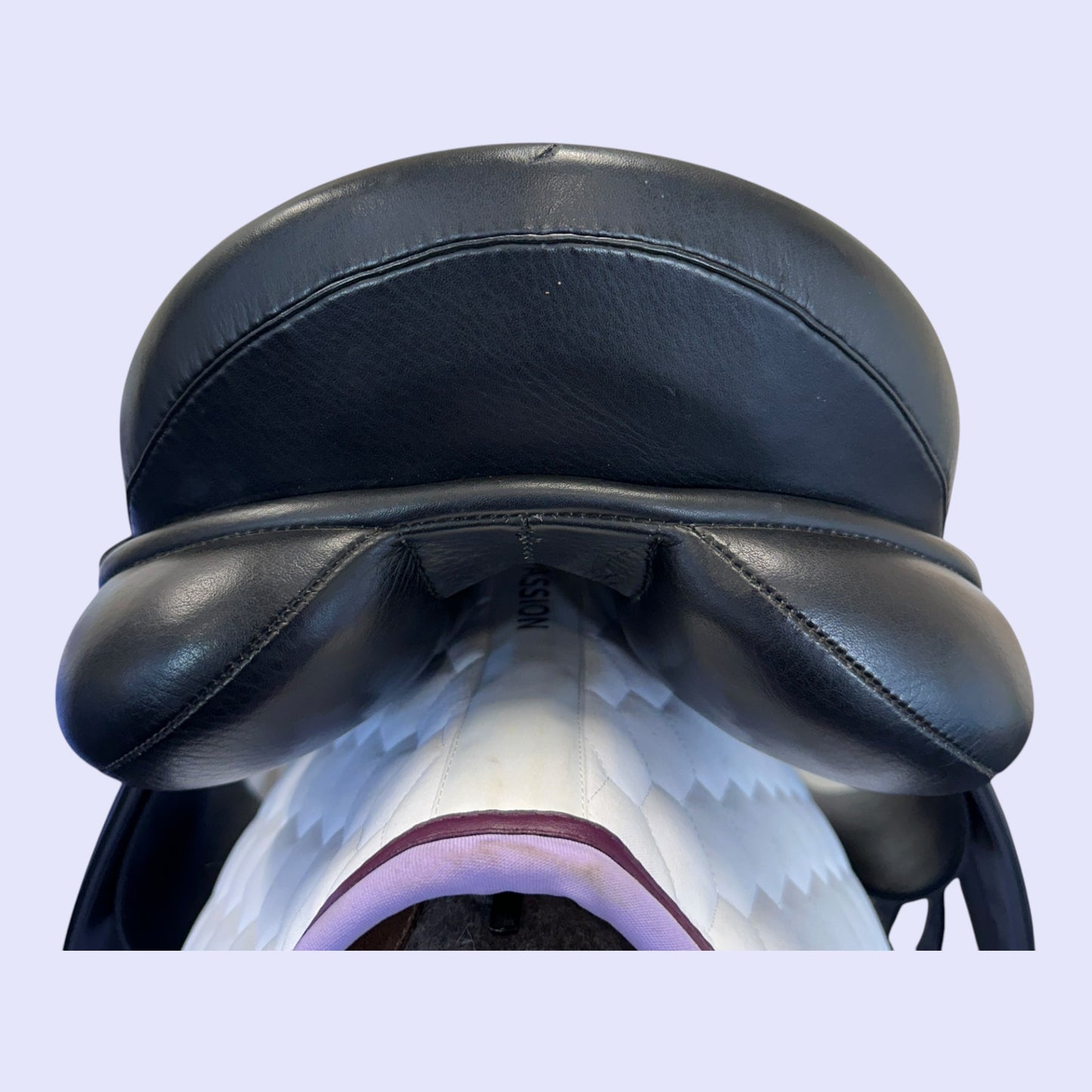 Fenmore Bella Dressage 17" W