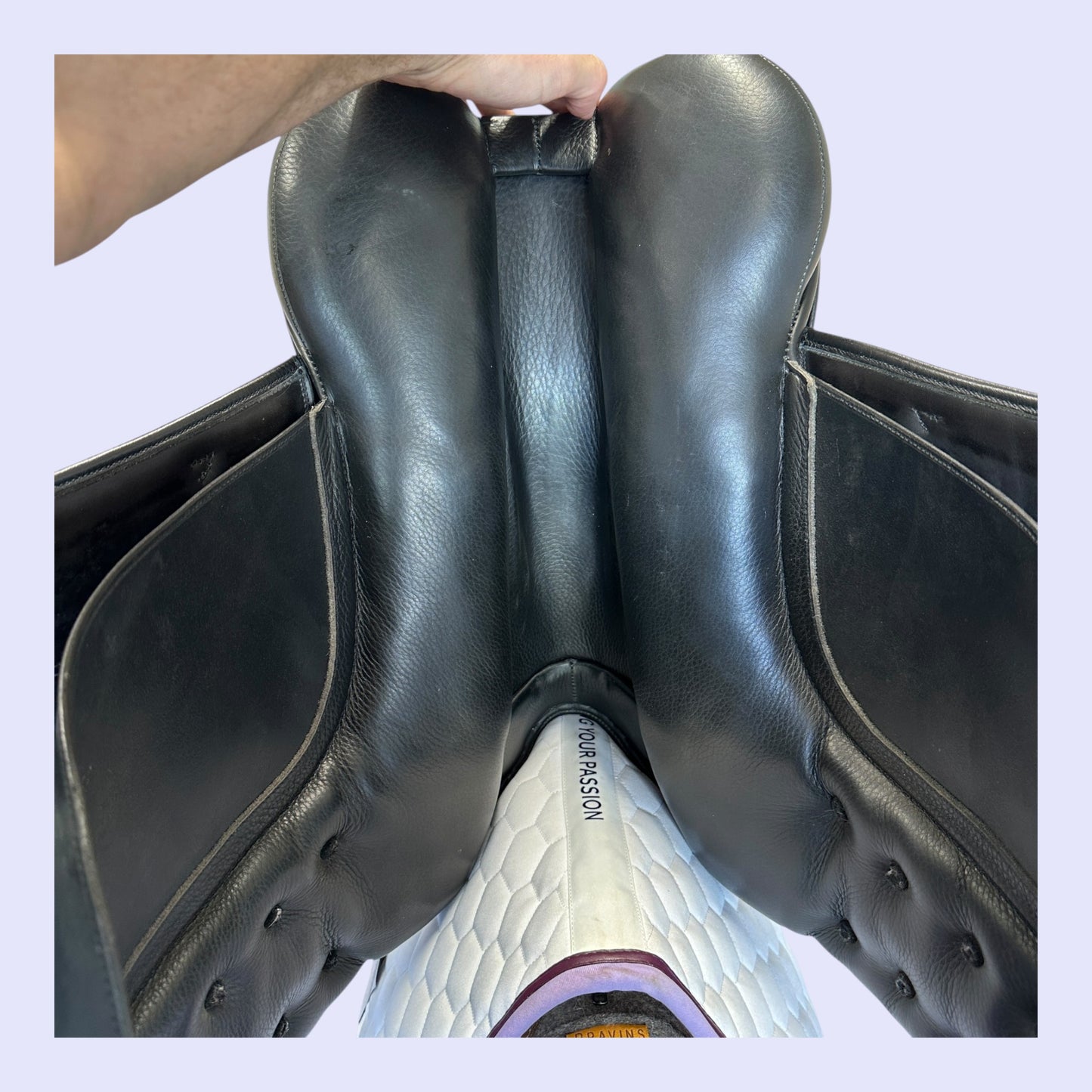 Fenmore Bella Dressage 17" W