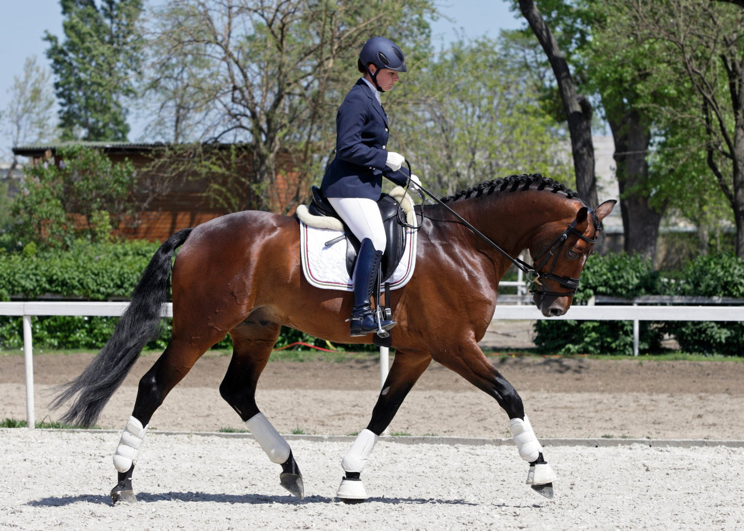 Horse and rider in dressage using a dressage saddle