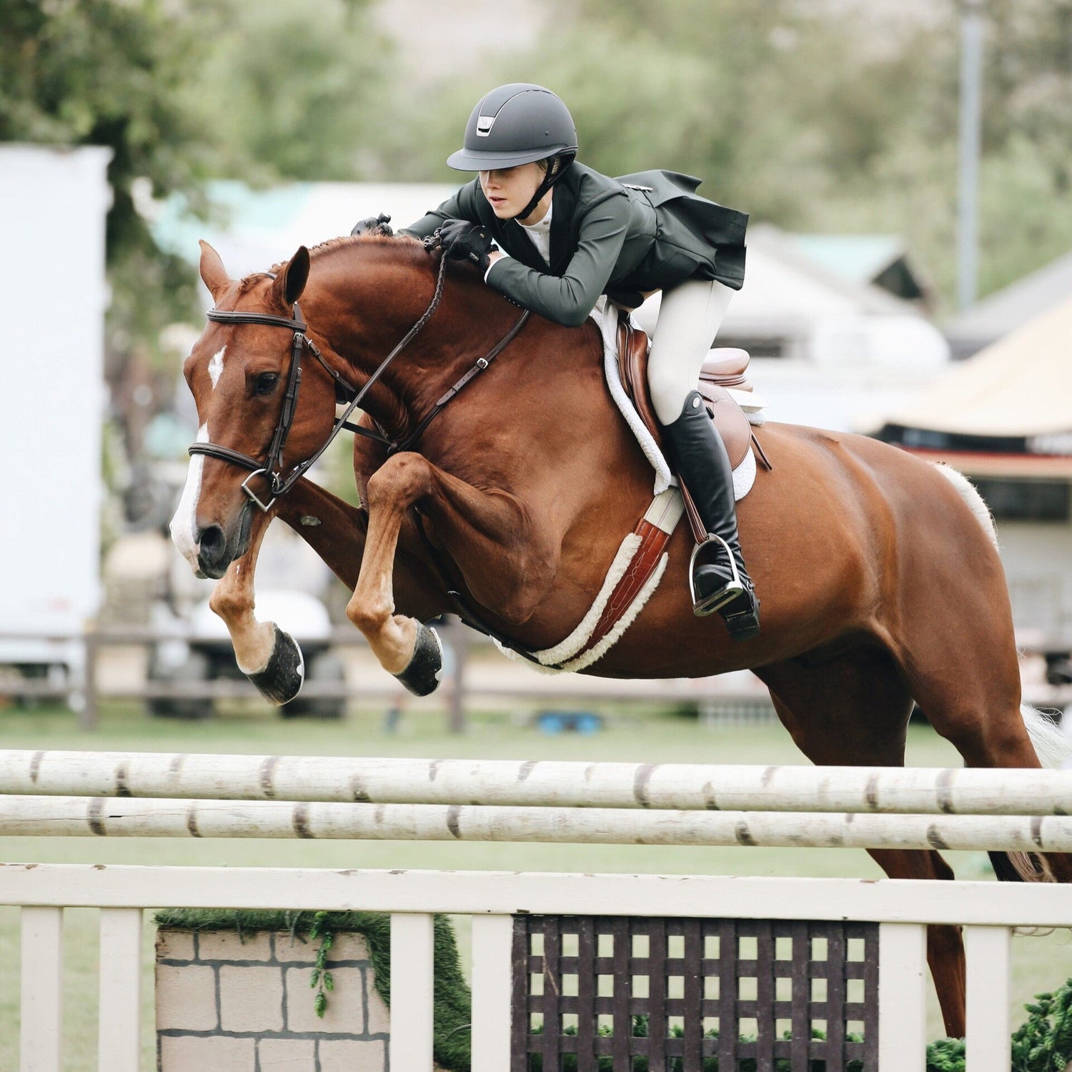 Horse and rider jumping with a jump saddle
