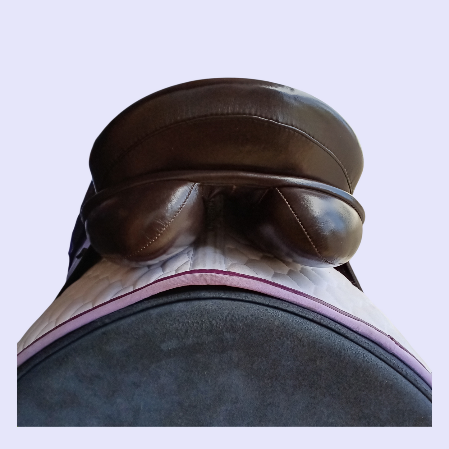 Fenmore Piaffe Dressage (show) 17.5" W