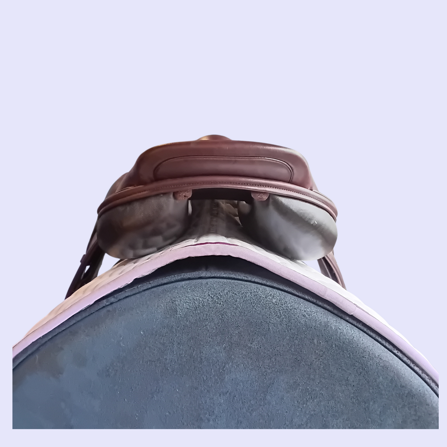 Harry Dabbs XJS Jump 17" MW