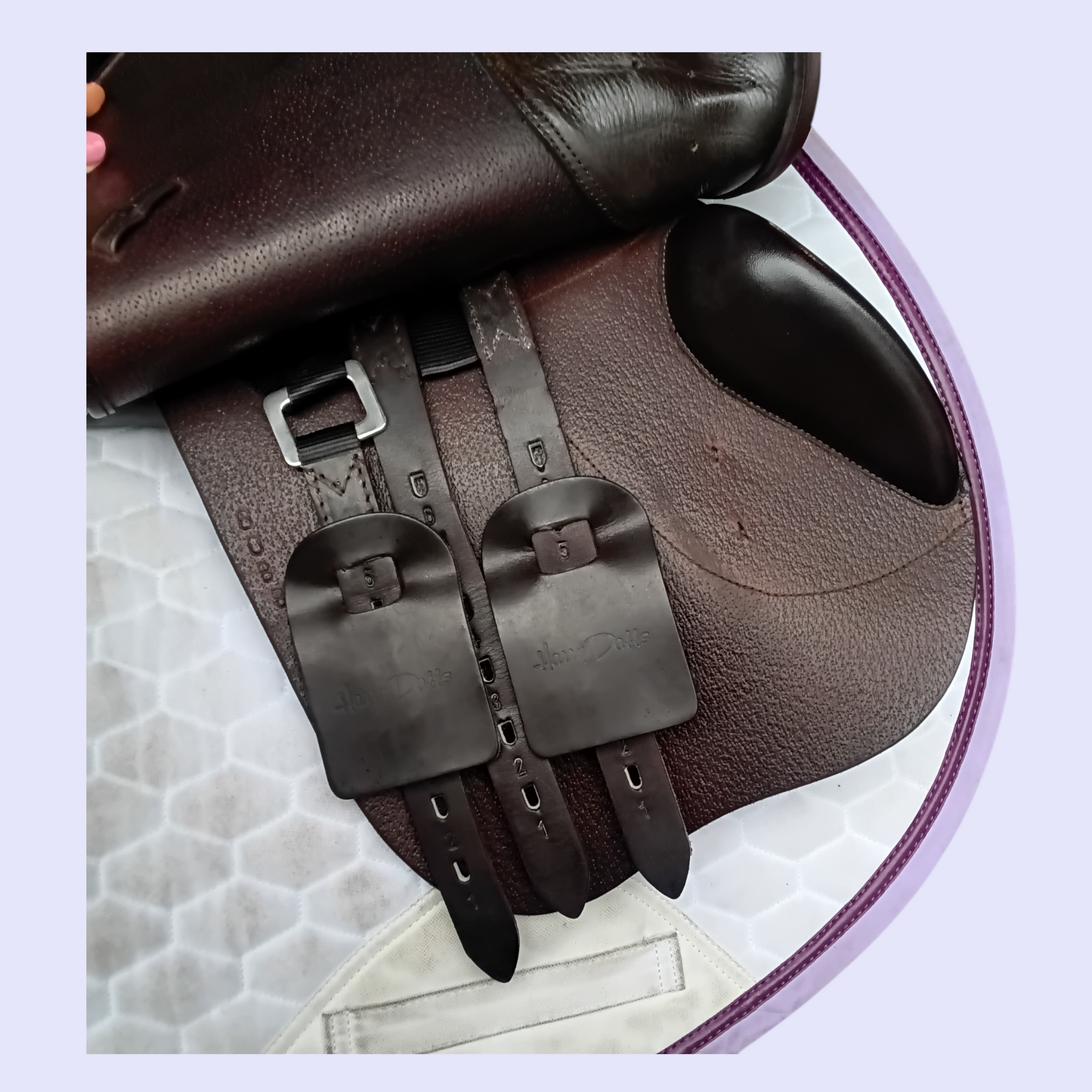 Harry Dabbs XJS Jump 17" MW