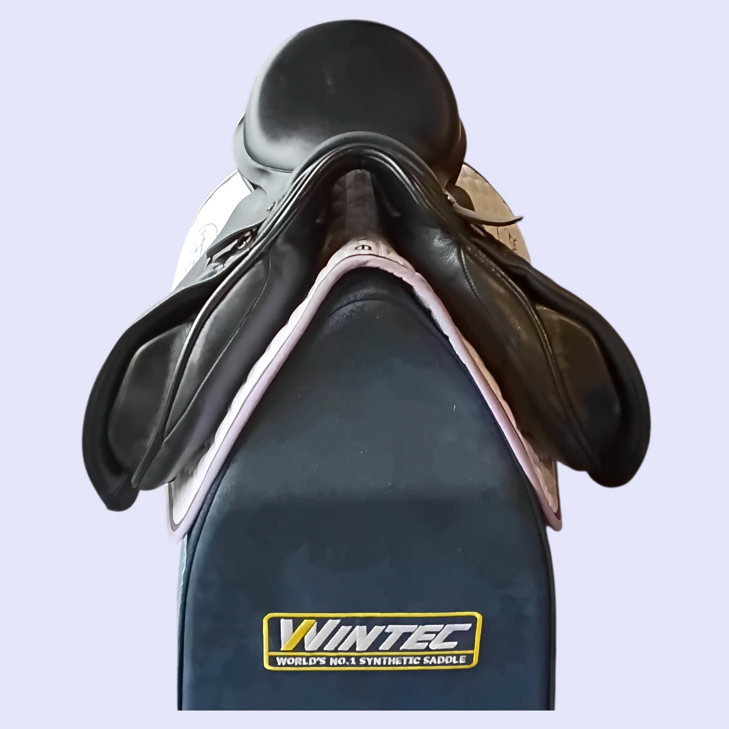 Silver Fern Kowhai  GP 17" W