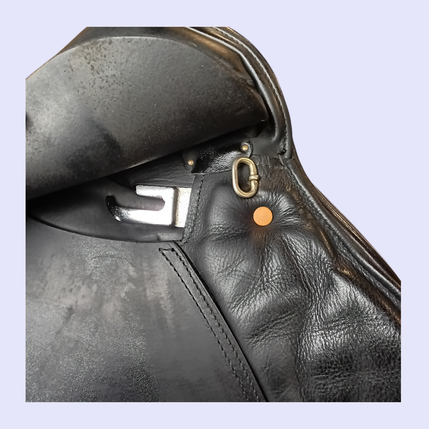 Silver Fern Kowhai  GP 17" W