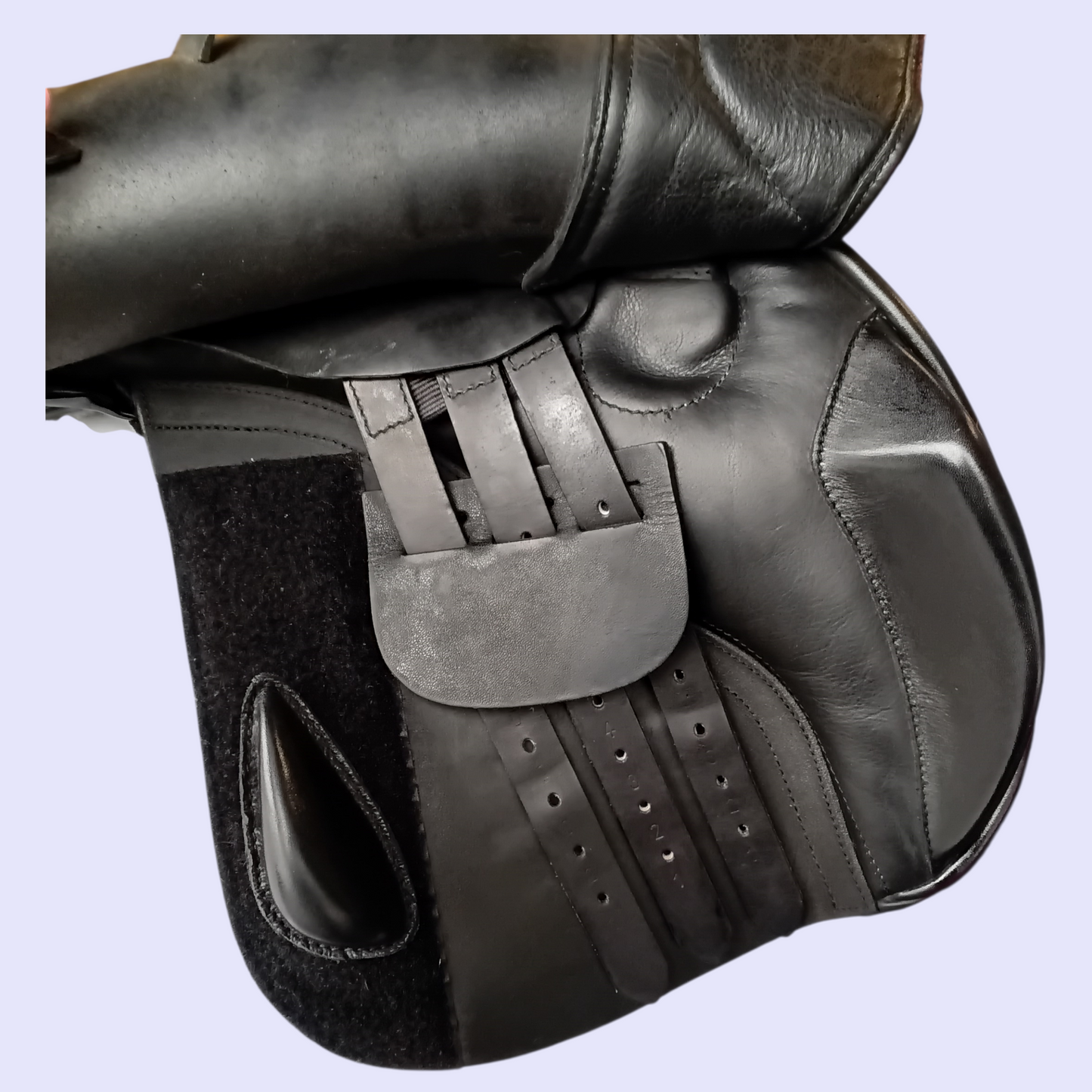 Silver Fern Kowhai  GP 17" W