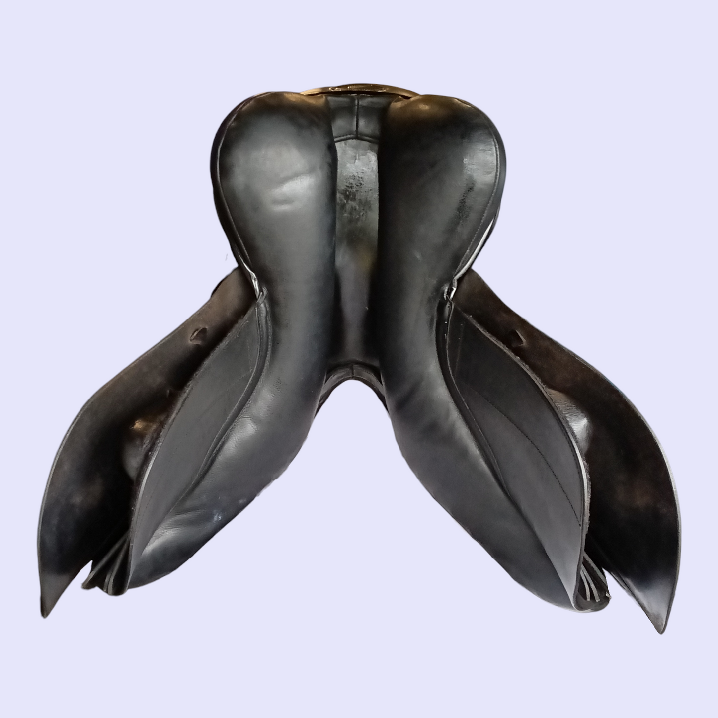 Silver Fern Kowhai  GP 17" W