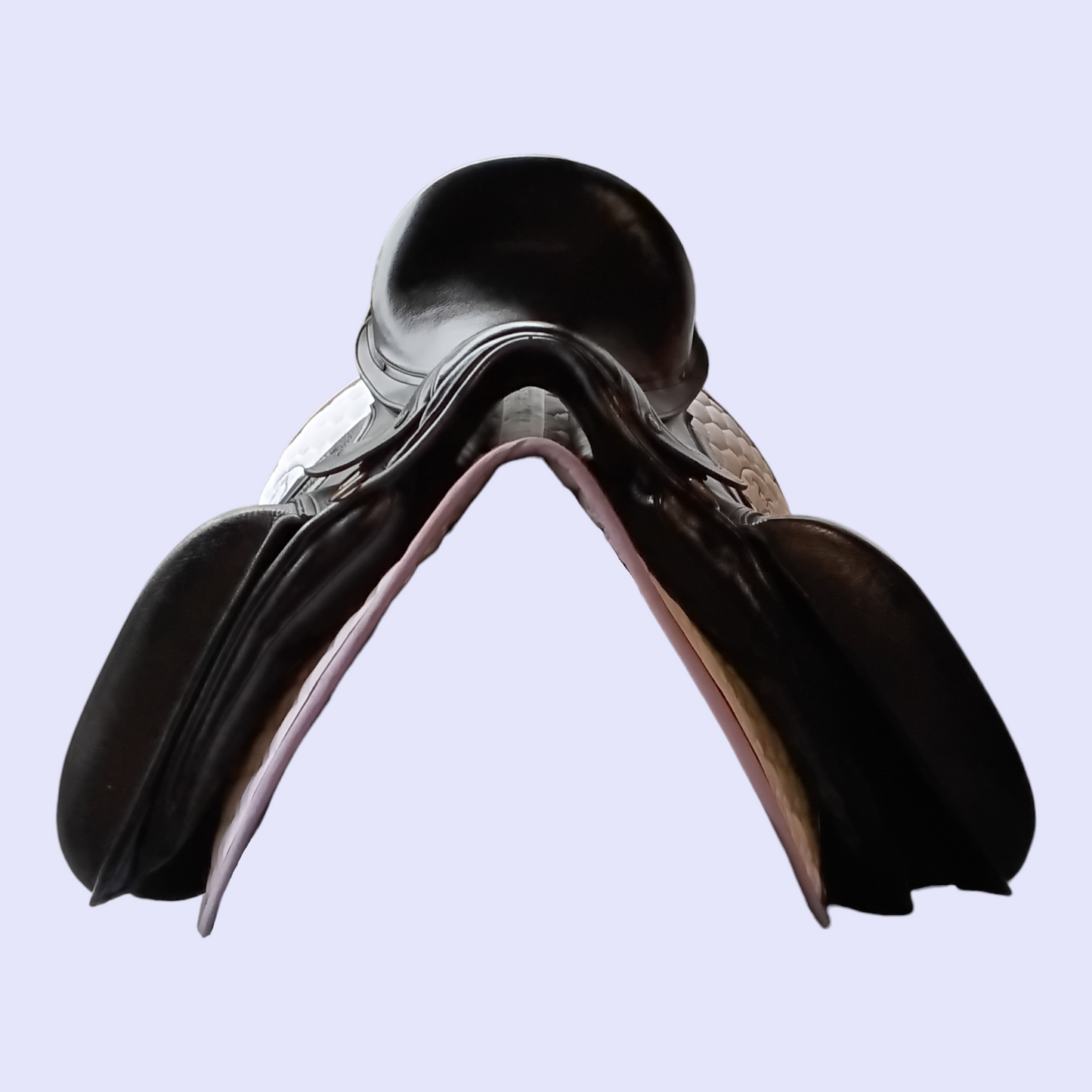 Fenmore Bella Dressage 18" W