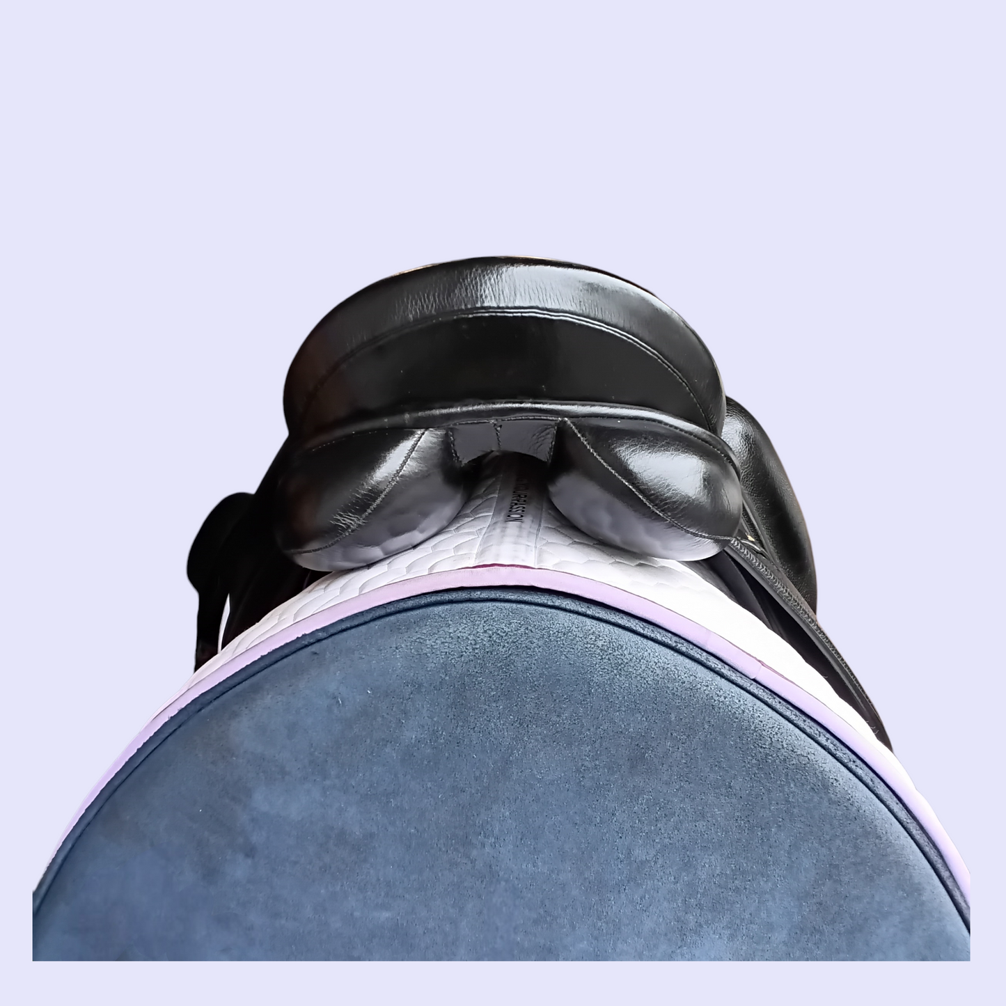 Fenmore Bella Dressage 18" W