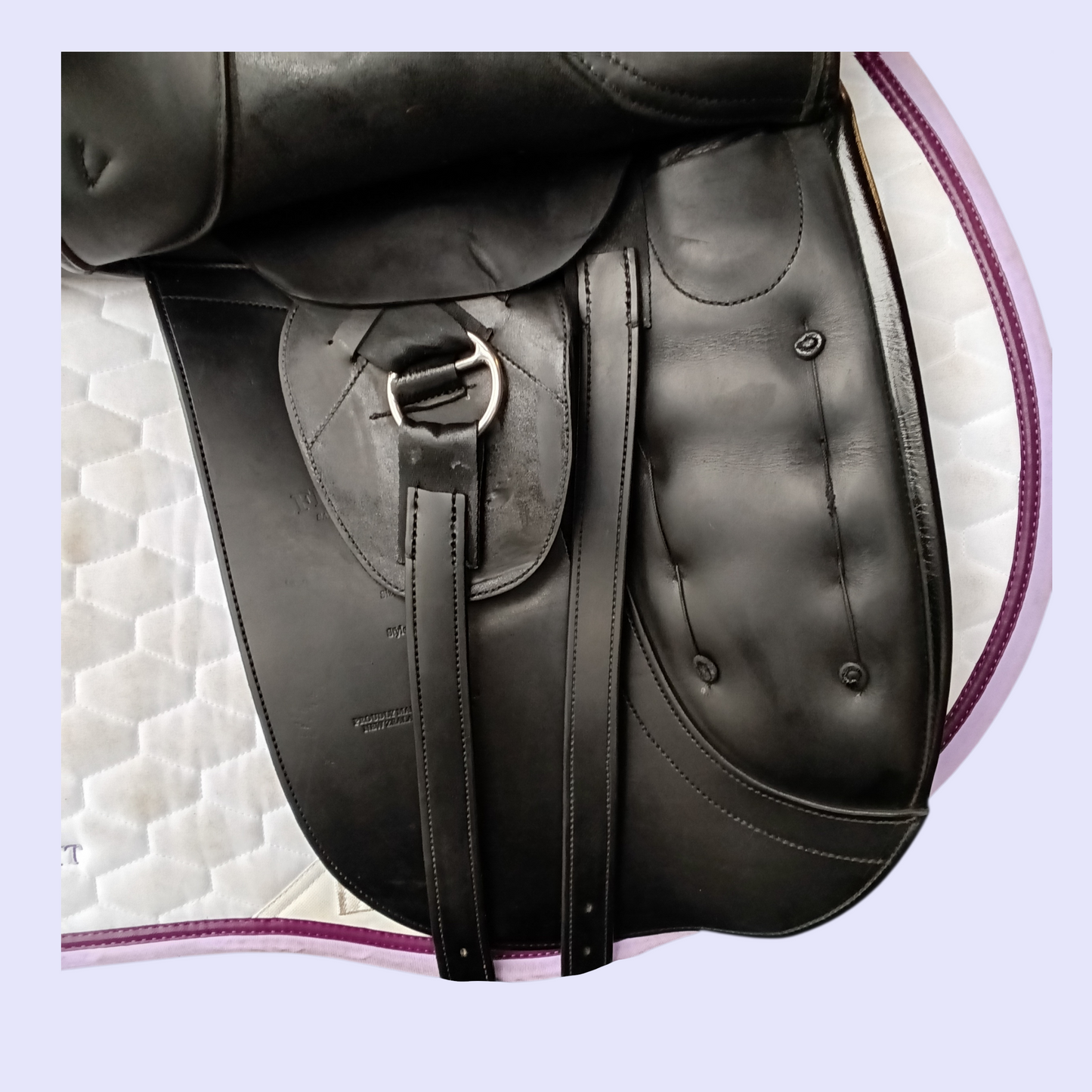 Fenmore Bella Dressage 18" W