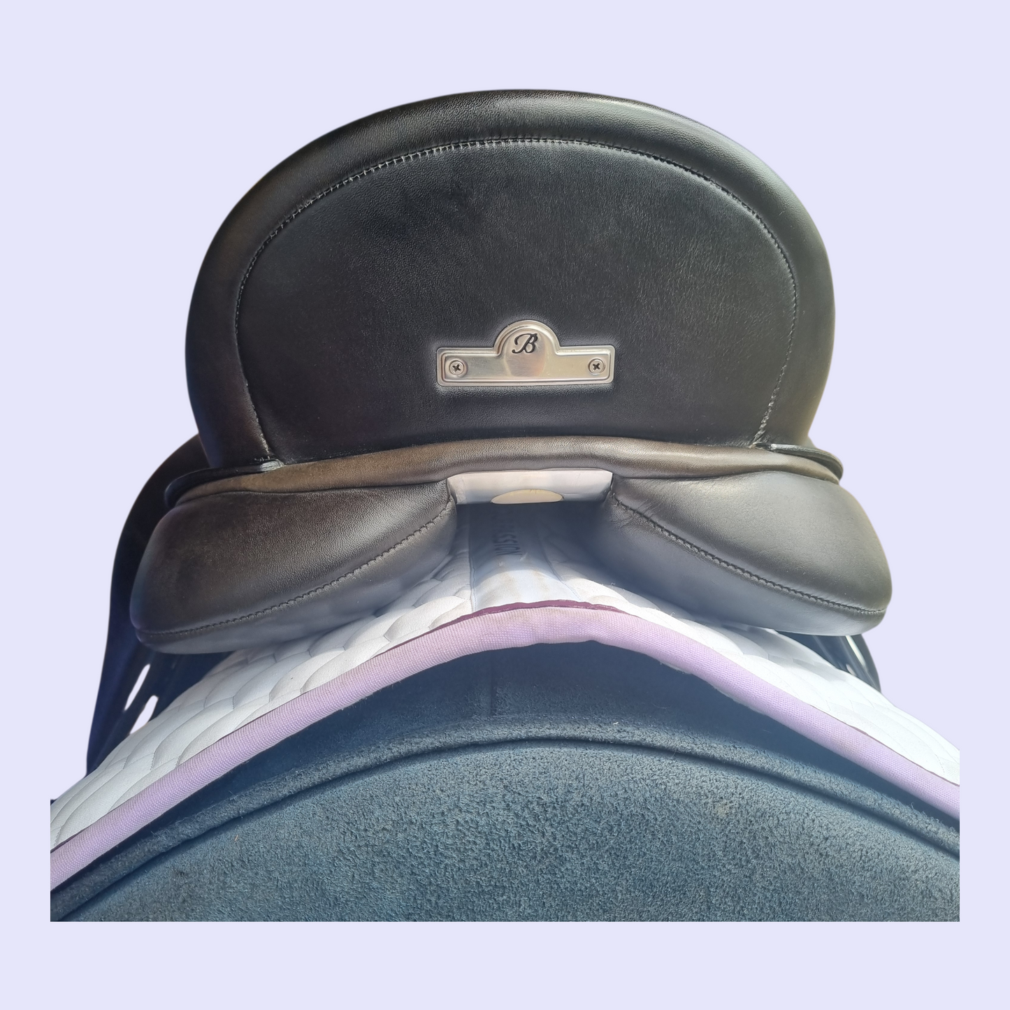 Bates Isabell Werth Dressage 17" MW