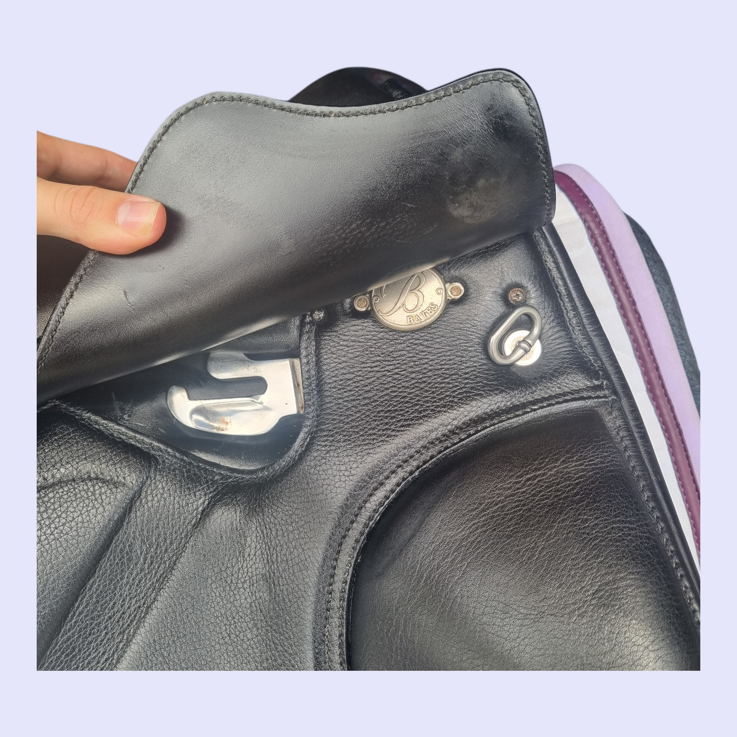 Bates Isabell Werth Dressage 17" MW