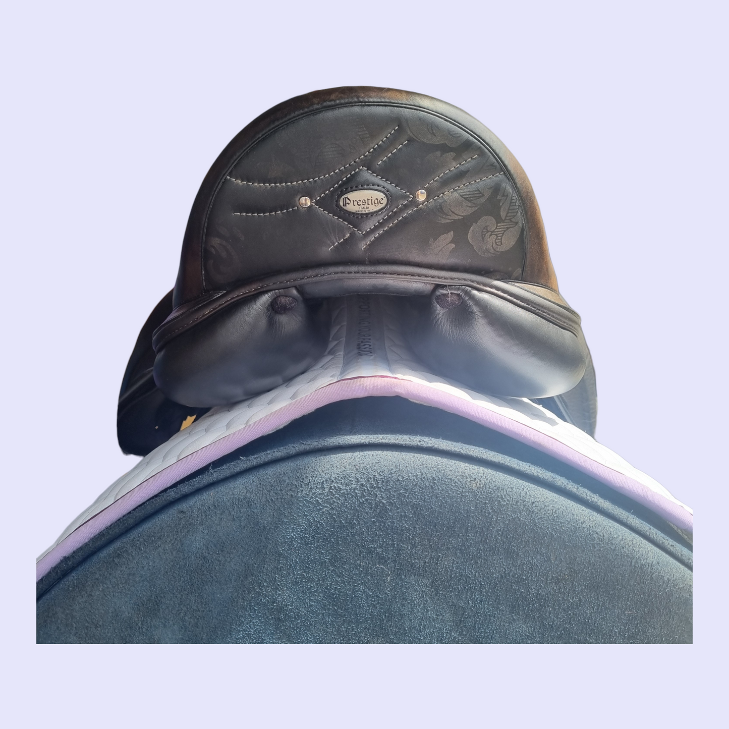 Prestige Philosophy 17" 31