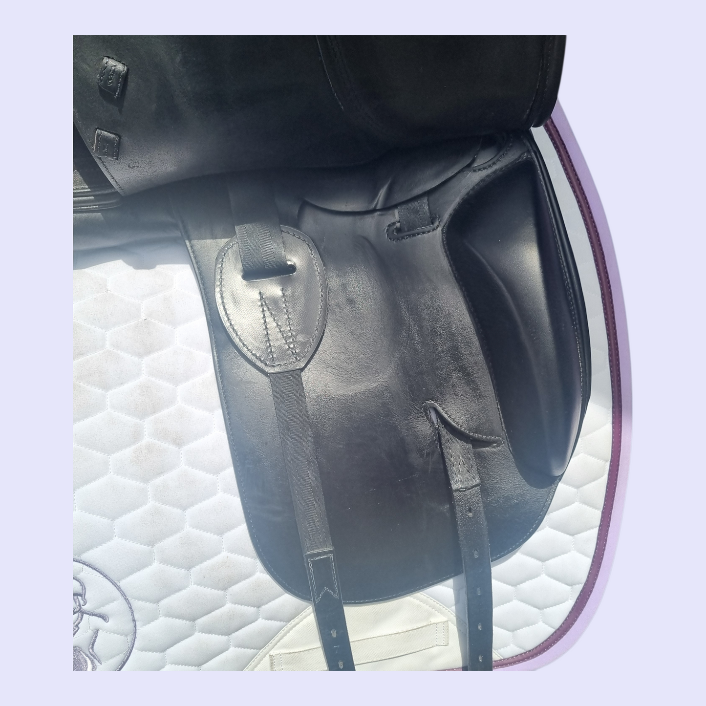 Prestige Philosophy 17" 31