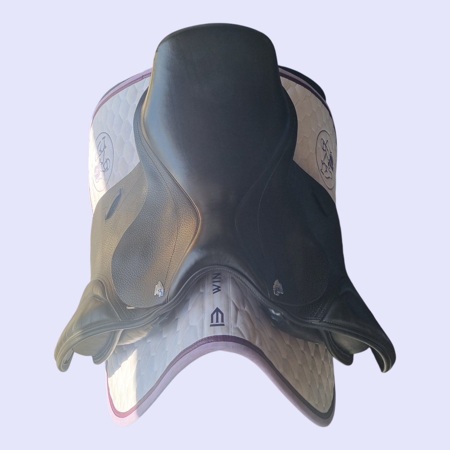 Harry Dabbs Future GP 17" W (IB)