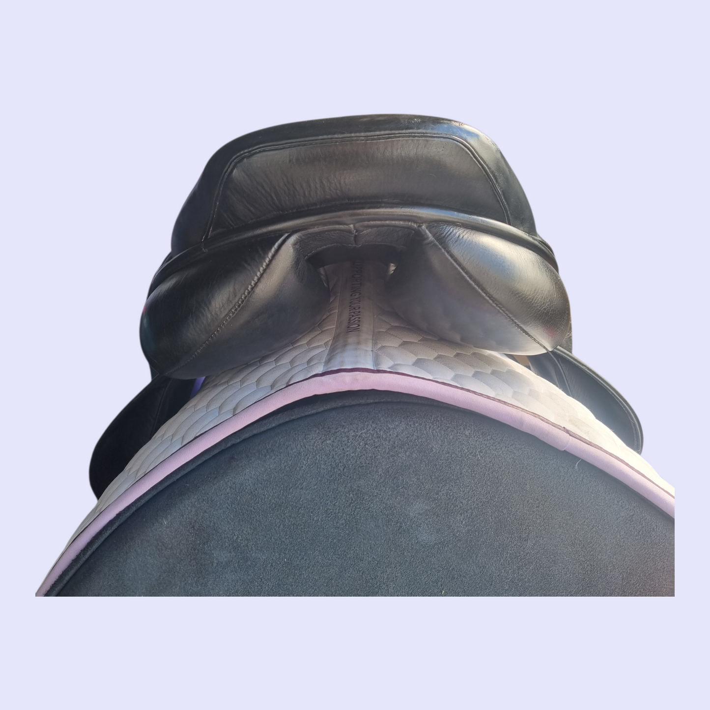 NSC Intuition GP/Jump 17.5" XW