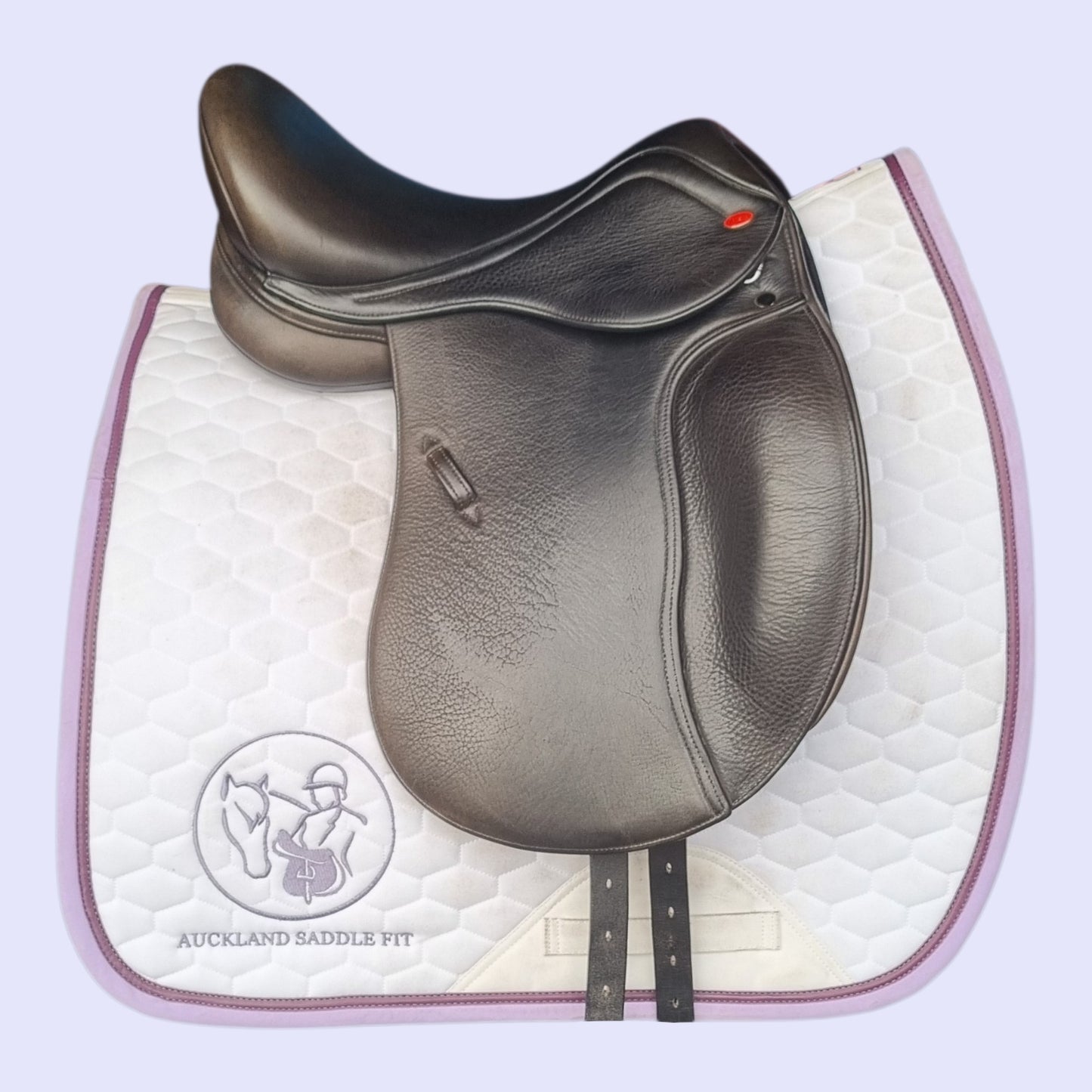 John Whitaker Highgate Pony Dressage 15.5" MW