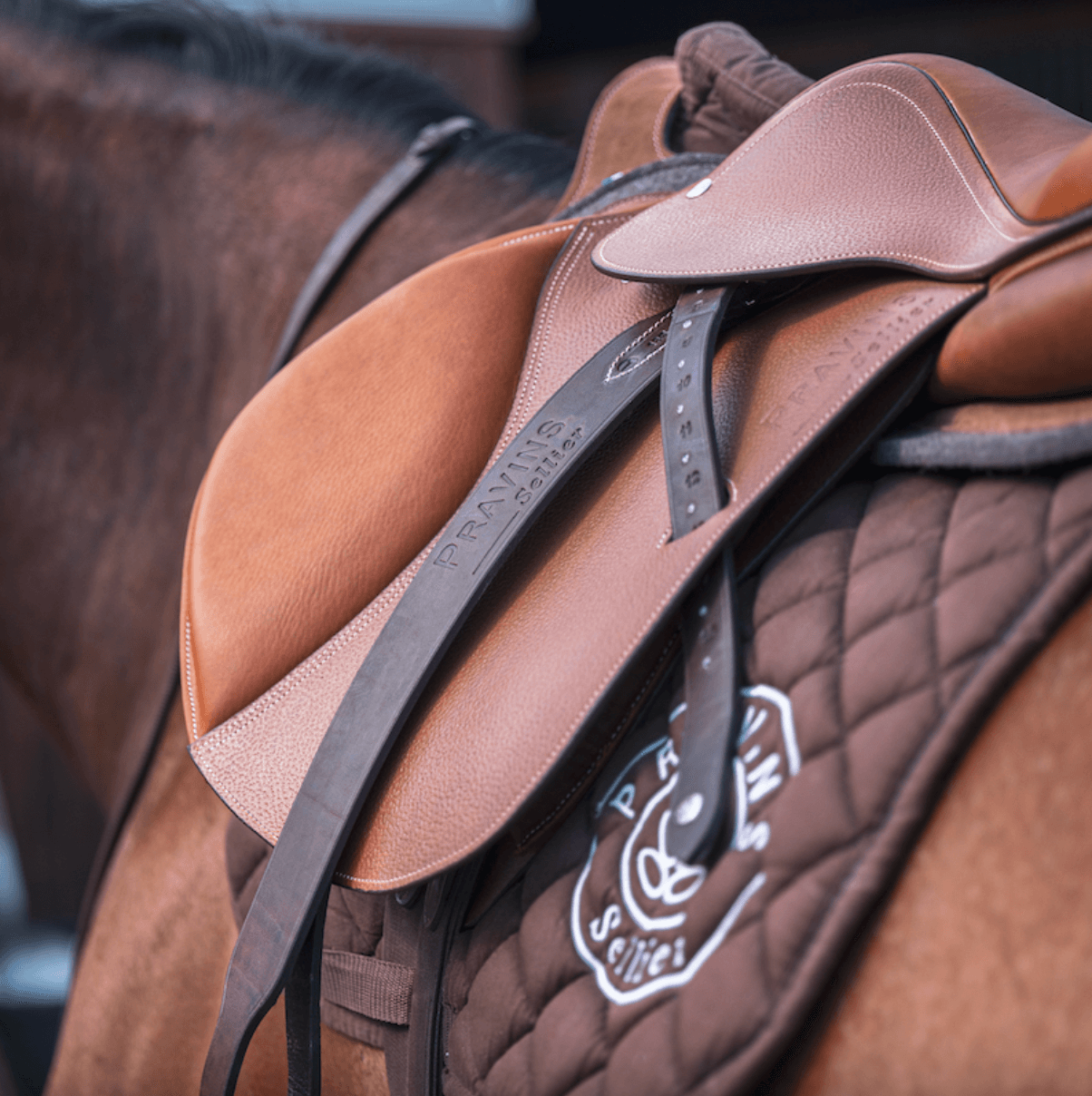 Pravins Wide Stability Stirrup Leathers