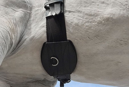 Tapestry Comfort Dressage/Monoflap Girth