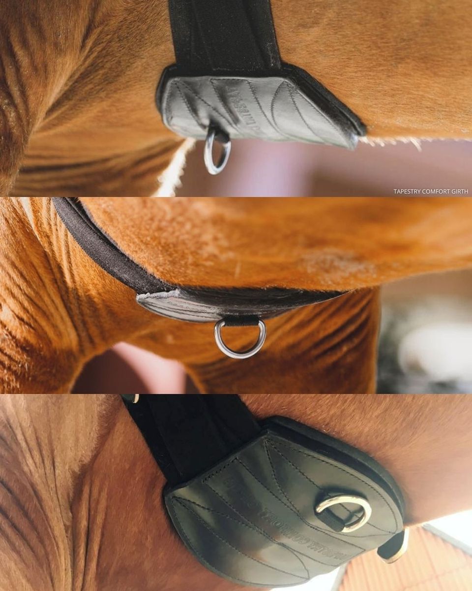 Tapestry Comfort Dressage/Monoflap Girth