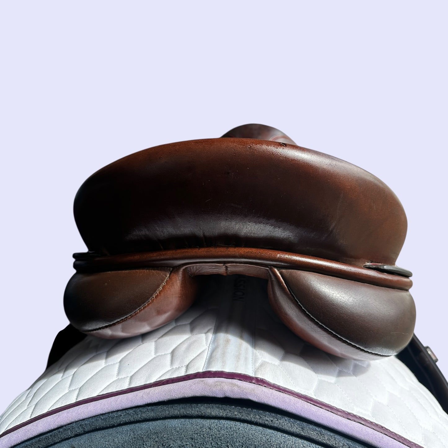 Adam Ellis Signature Dressage 17.5" MW+