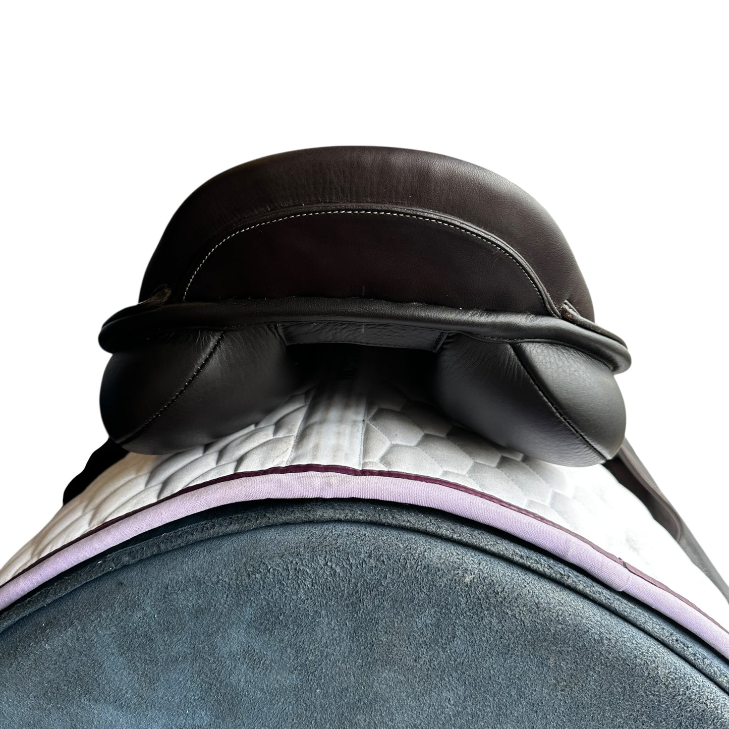 Trainers Endeavour 17.5"