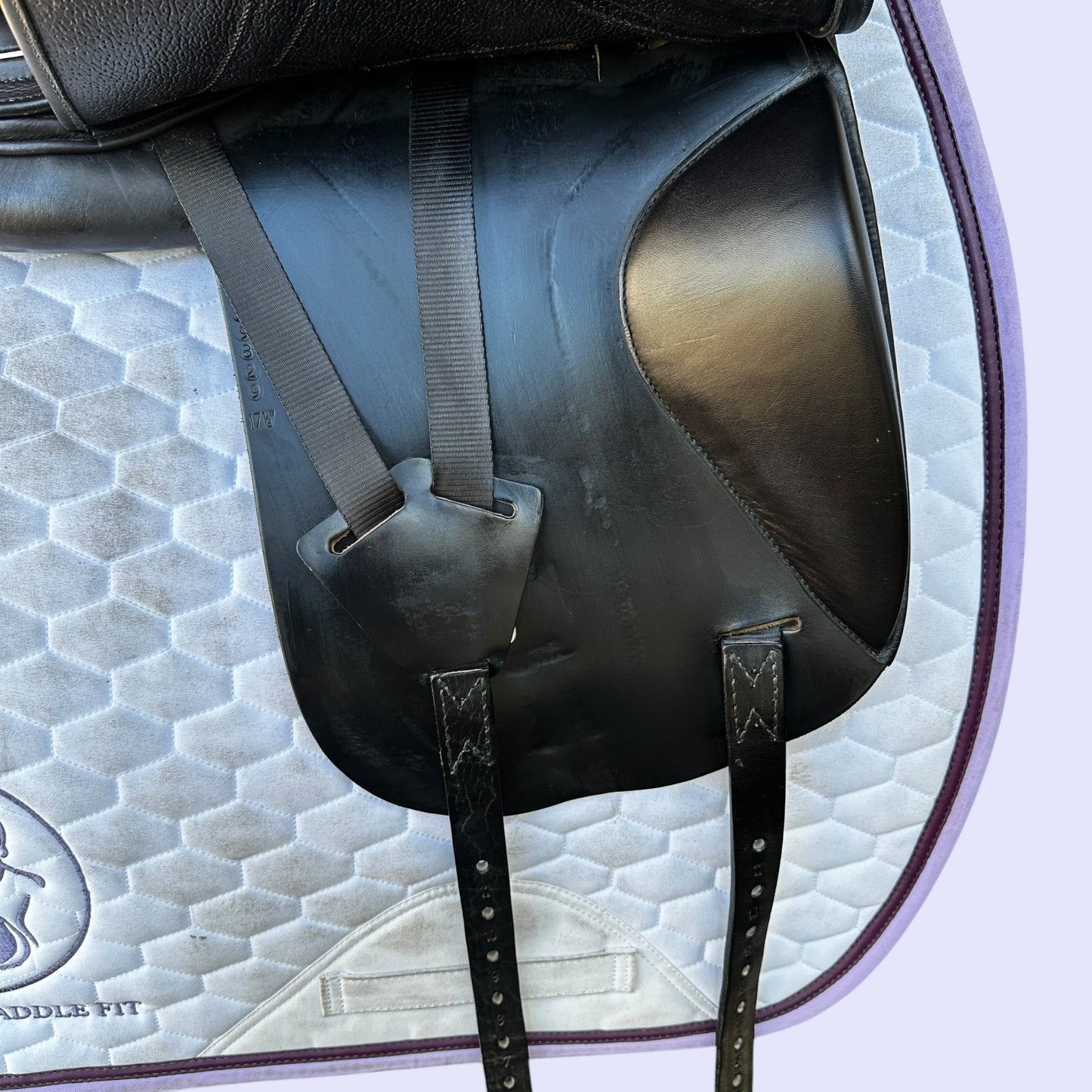 Harry Dabbs Platinum Future Dressage 17.5" MW