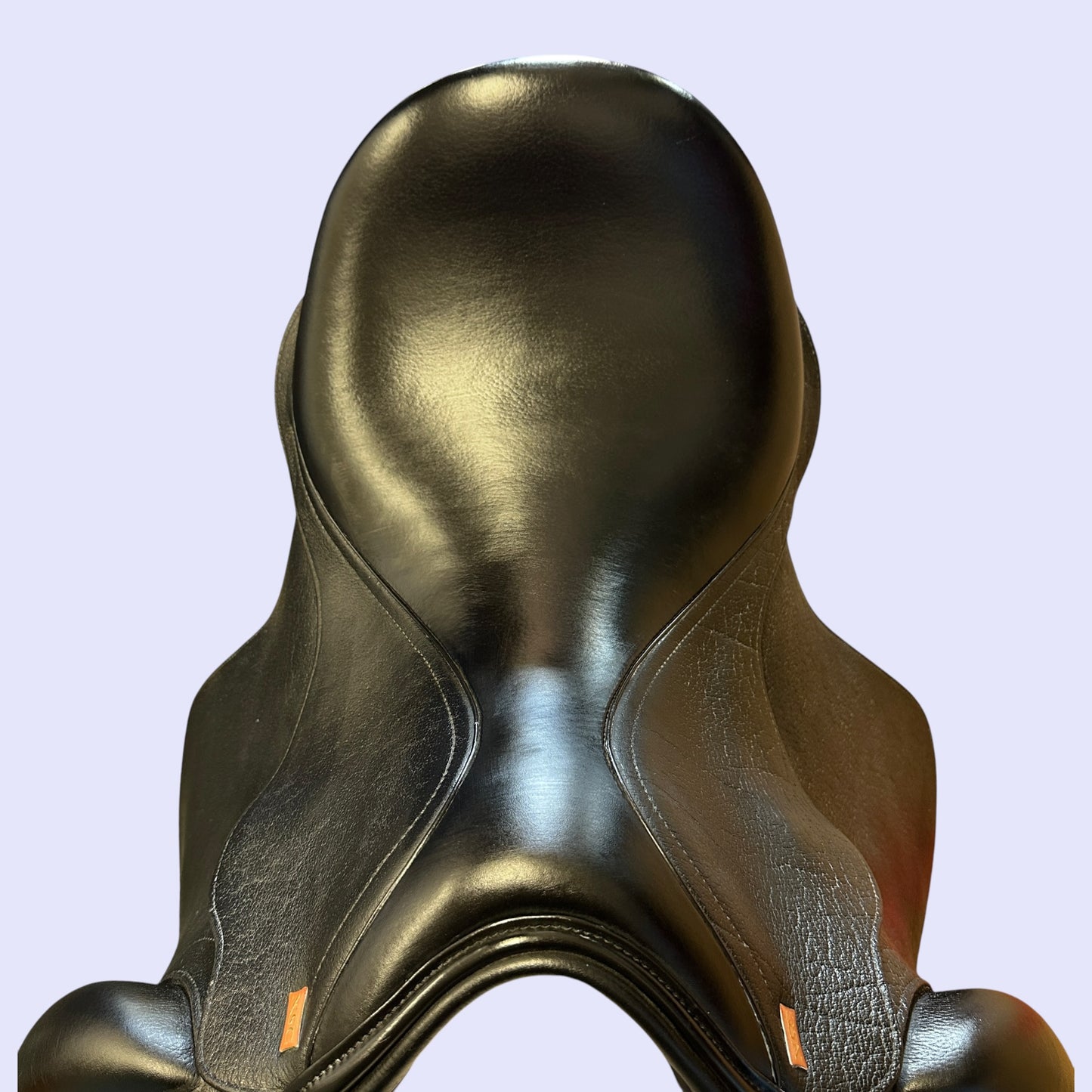 NSC Elite Mono (C-block) — Dressage 17.5" W