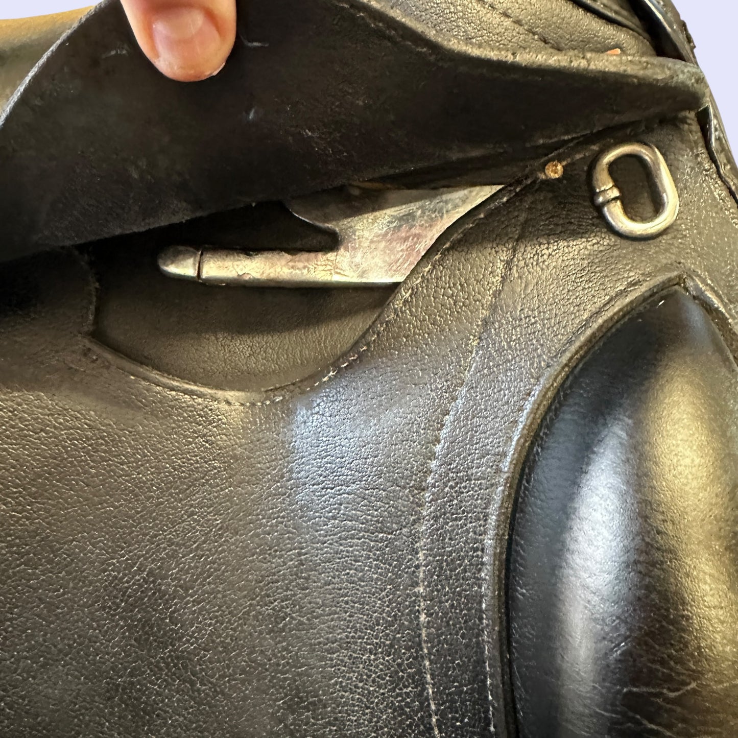 NSC Elite Mono (C-block) — Dressage 17.5" W