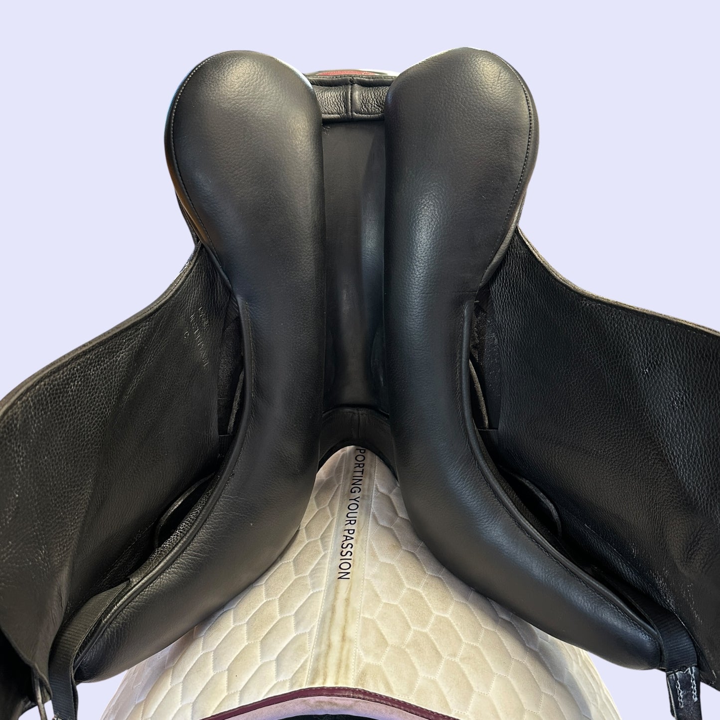NSC Elite Mono (C-block) — Dressage 17.5" W