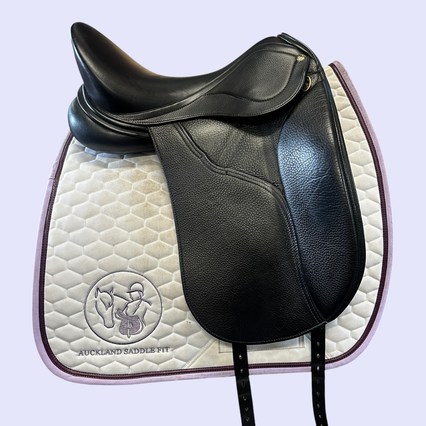 Peter Horobin Geneva — Dressage 17.5"