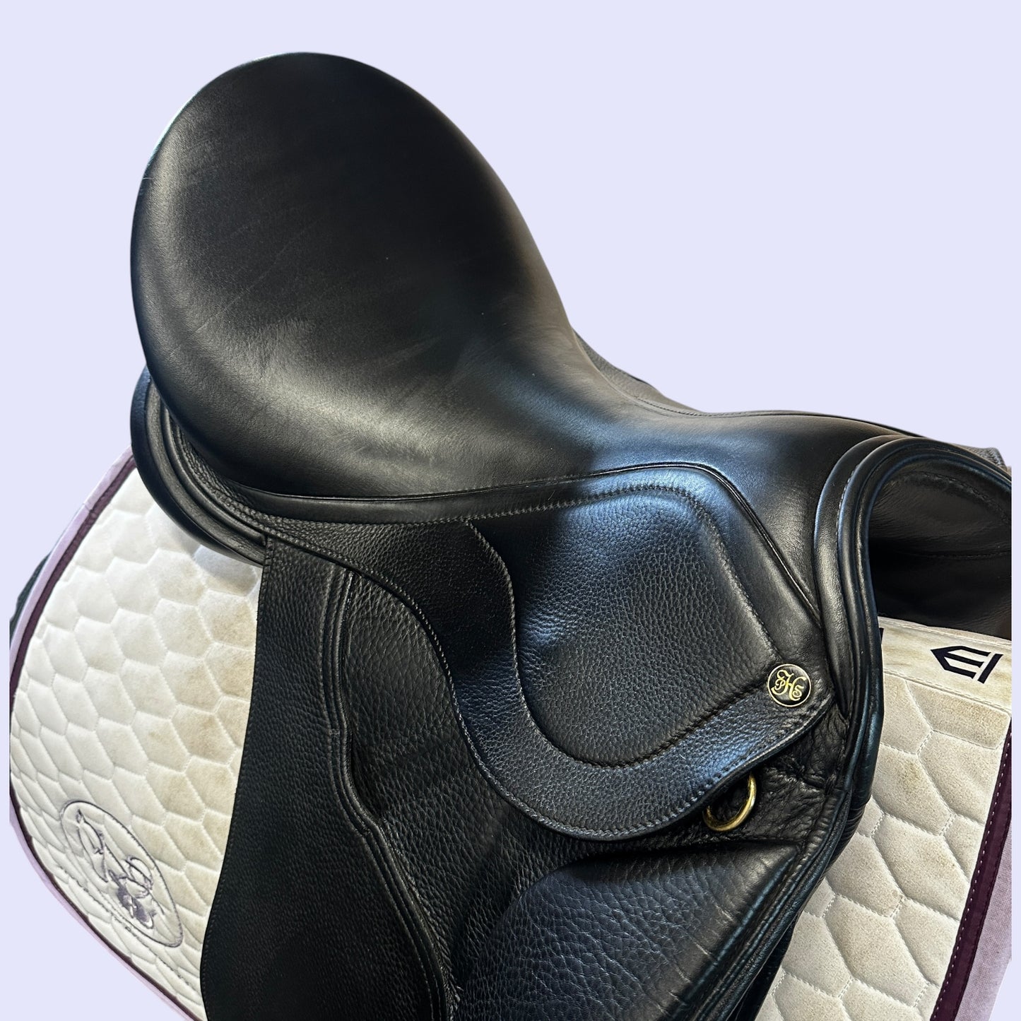 Peter Horobin Geneva — Dressage 17.5"
