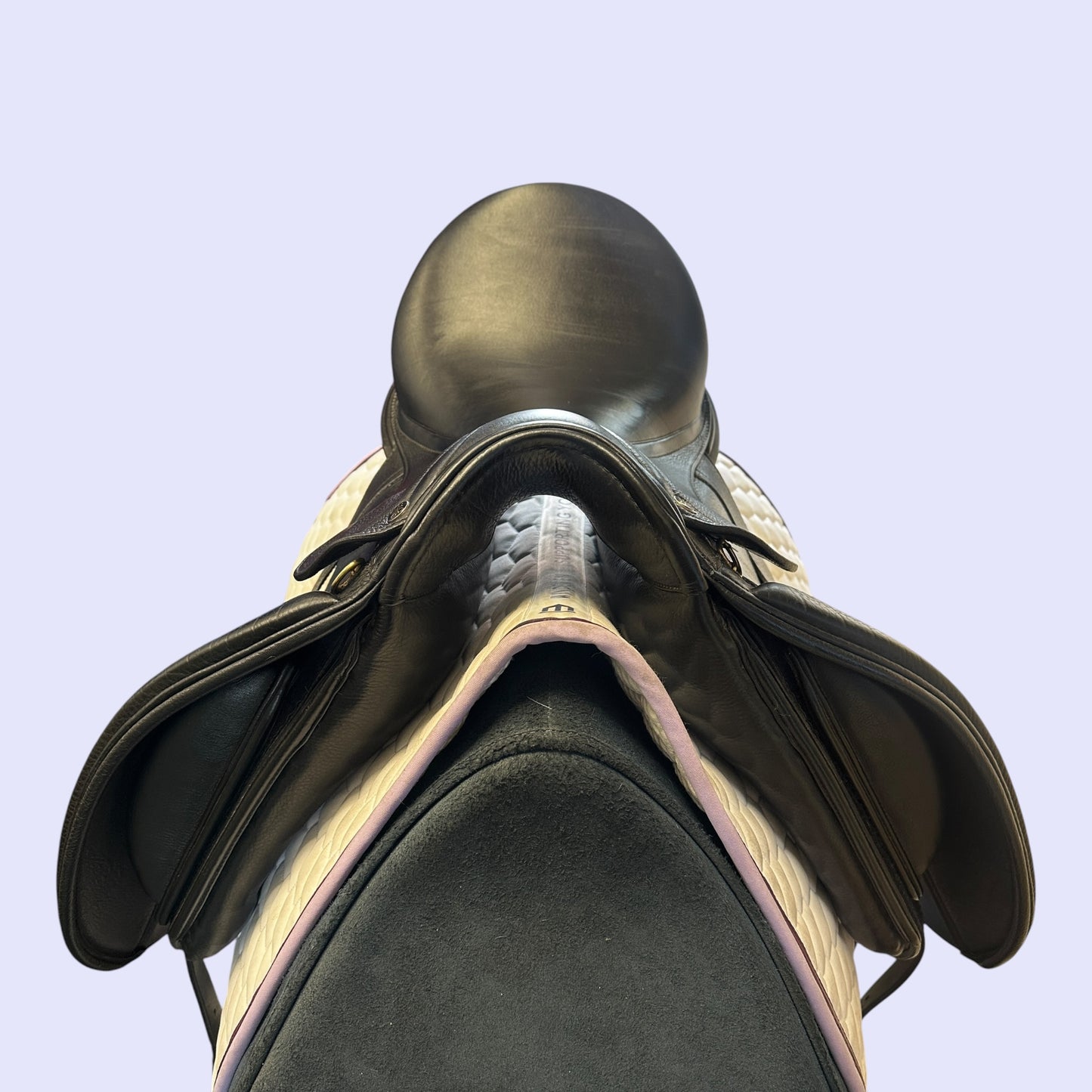 Peter Horobin Geneva — Dressage 17.5"