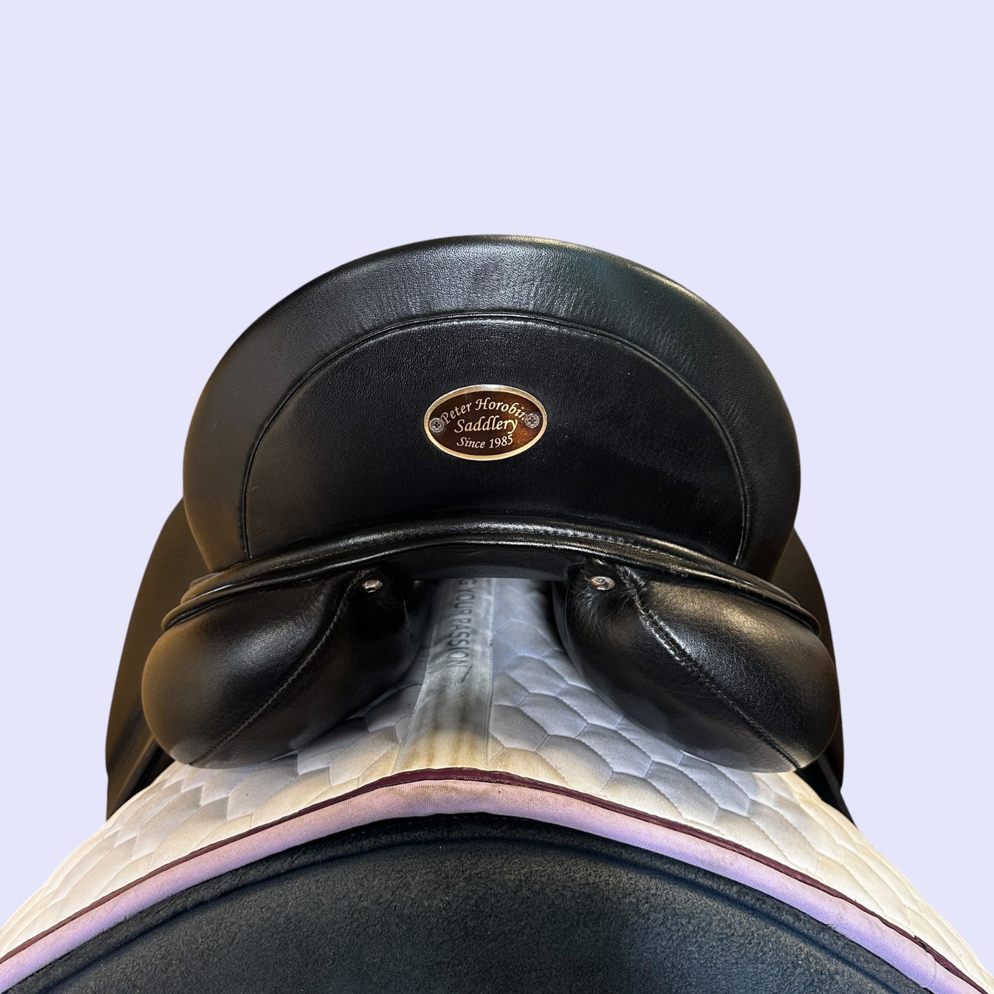 Peter Horobin Geneva — Dressage 17.5"