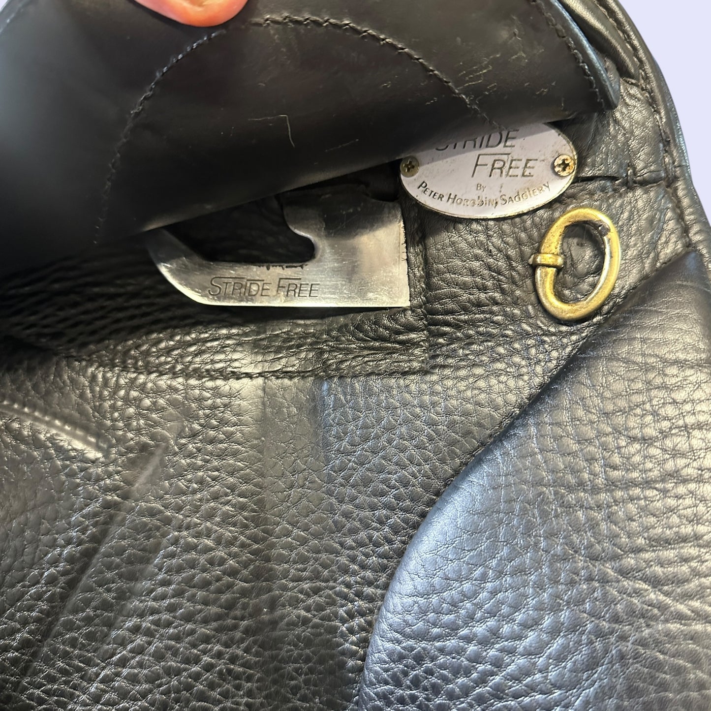 Peter Horobin Geneva — Dressage 17.5"