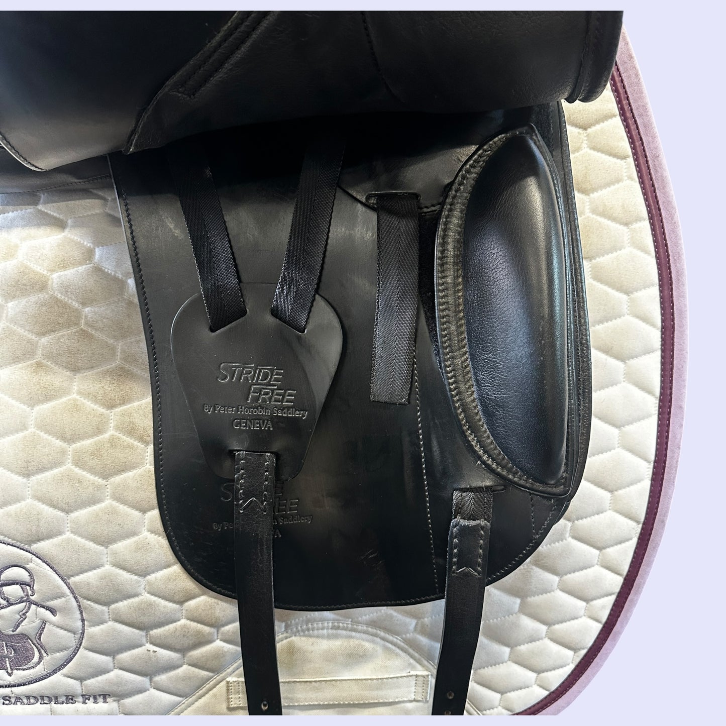 Peter Horobin Geneva — Dressage 17.5"