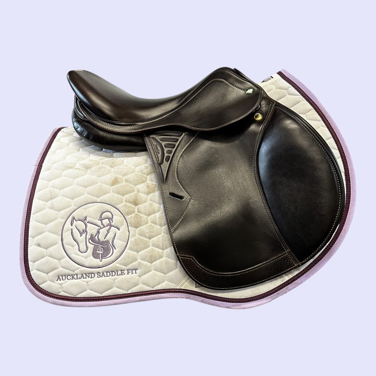 Prestige Versailles — Jump 16" 34
