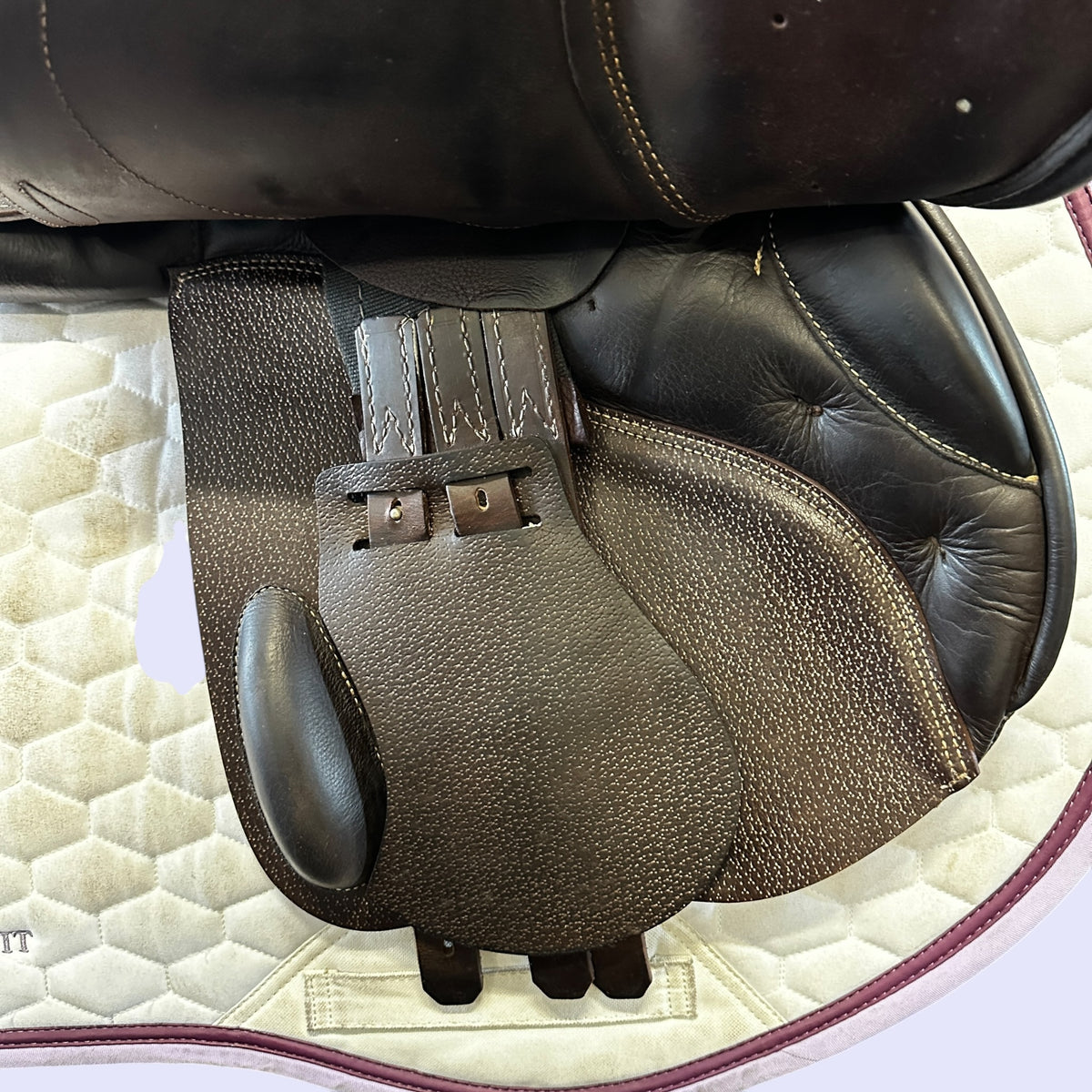 Prestige Versailles — Jump 16" 34