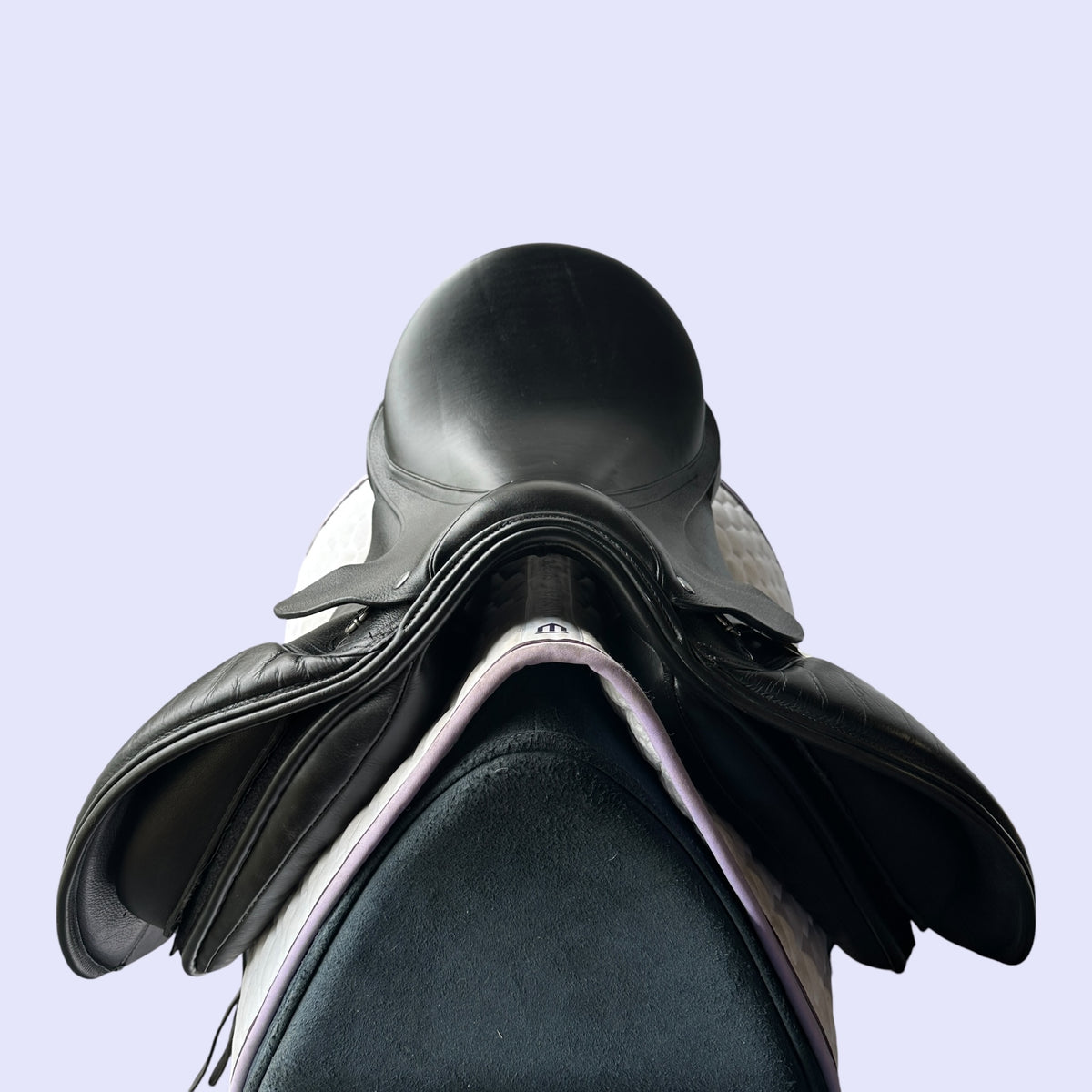 Adam Ellis Signature Kemlyn — Dressage 18"