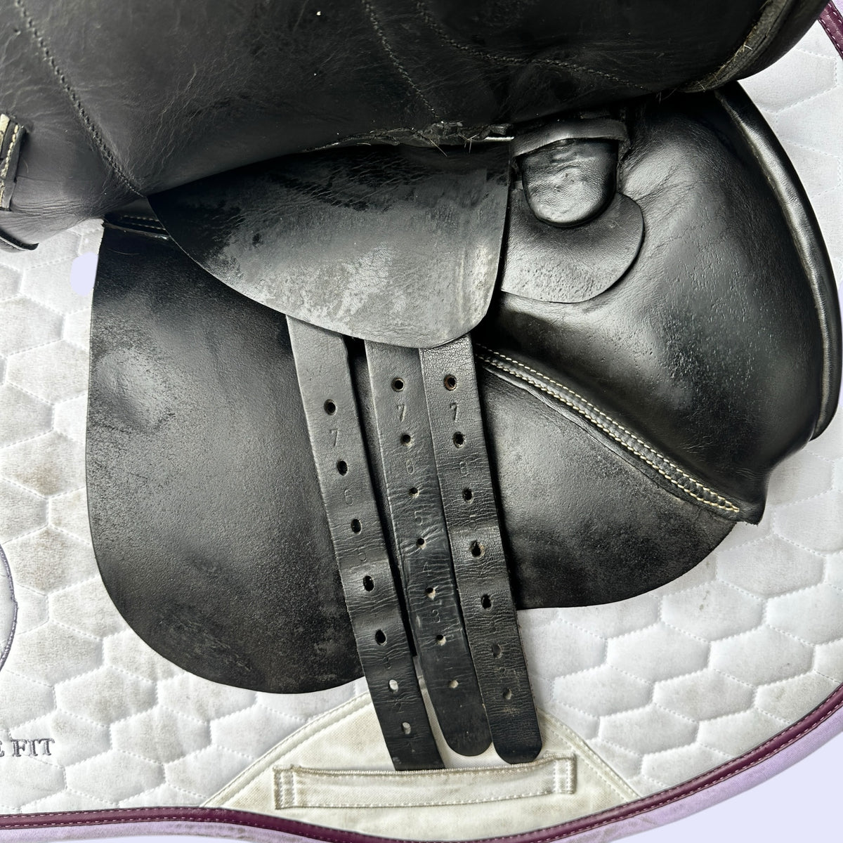 NSC Fantail — GP/Jump 17.5"
