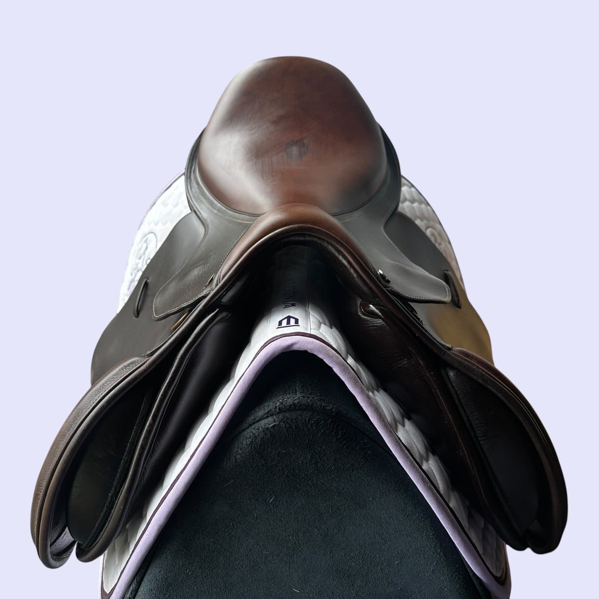 Trainers Endeavour — Jump 17"
