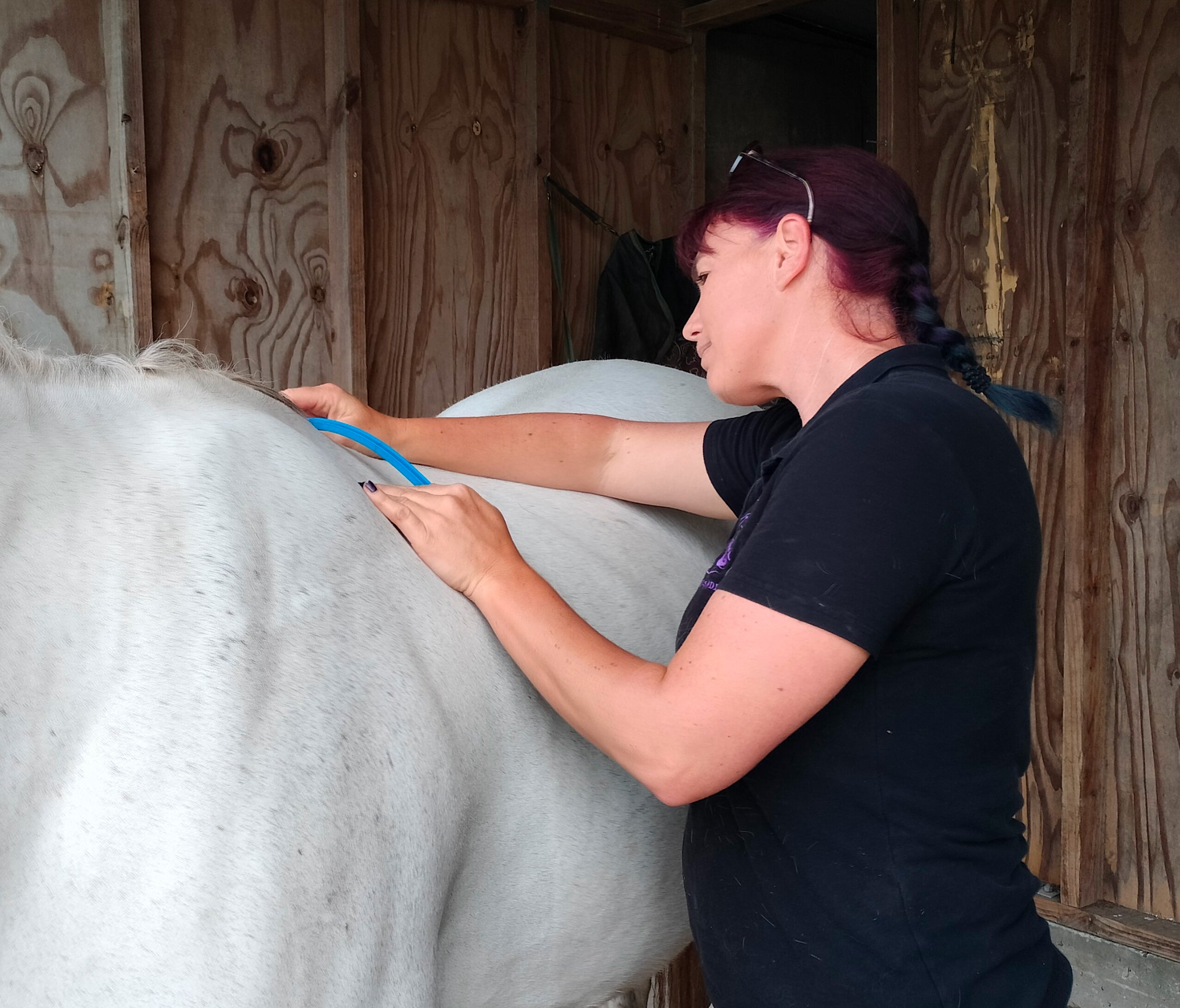 Saddle Selection