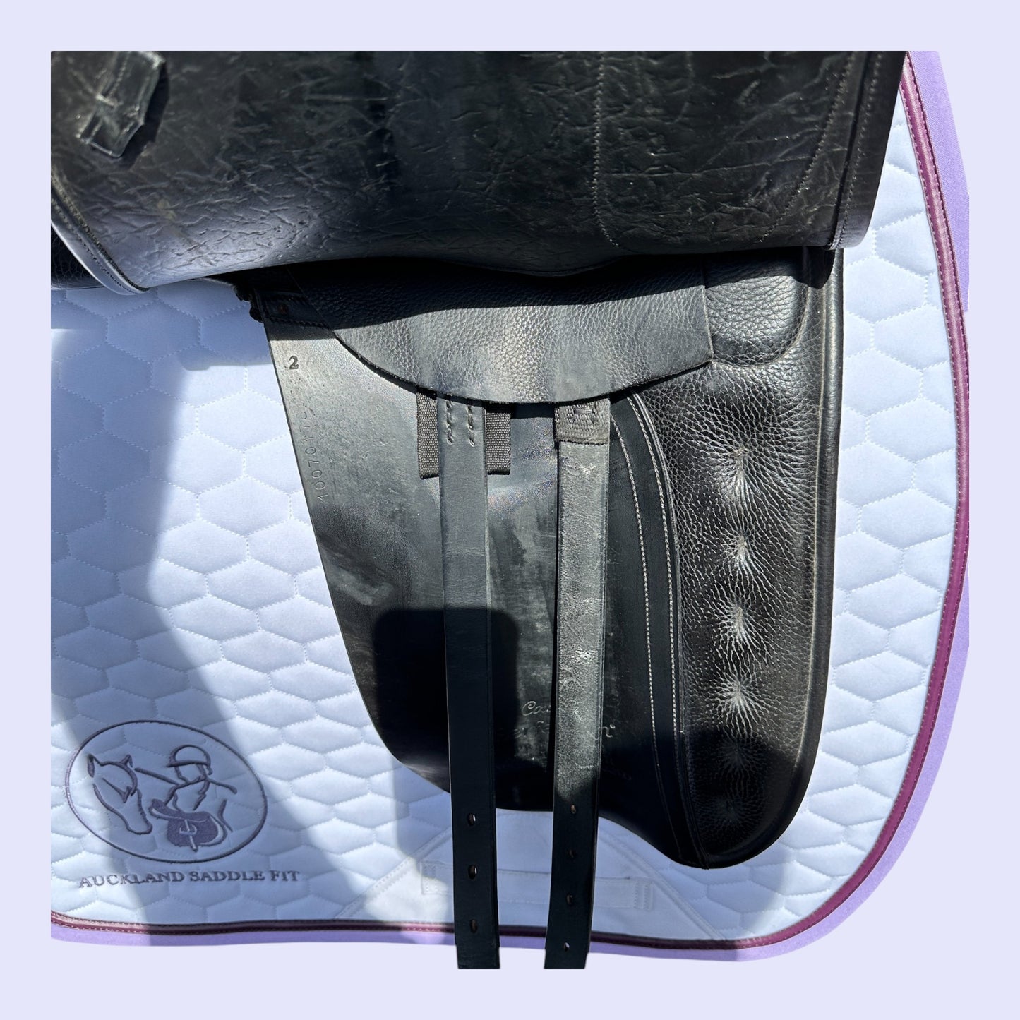 County Perfection Dressage 18" W